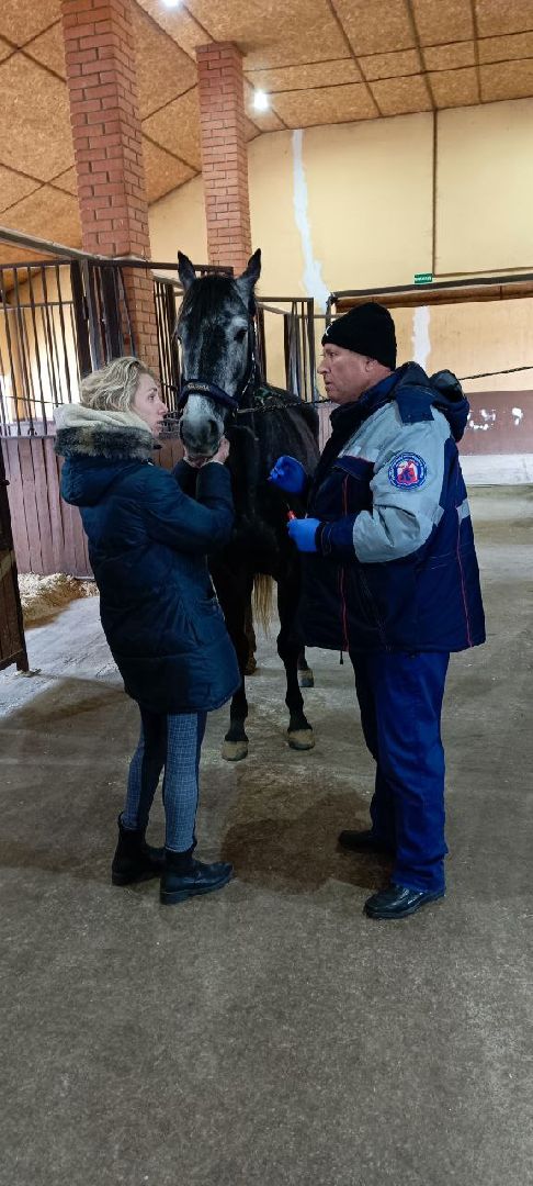 Дмитров, Дмитровская государственная ветеринарная станция,
