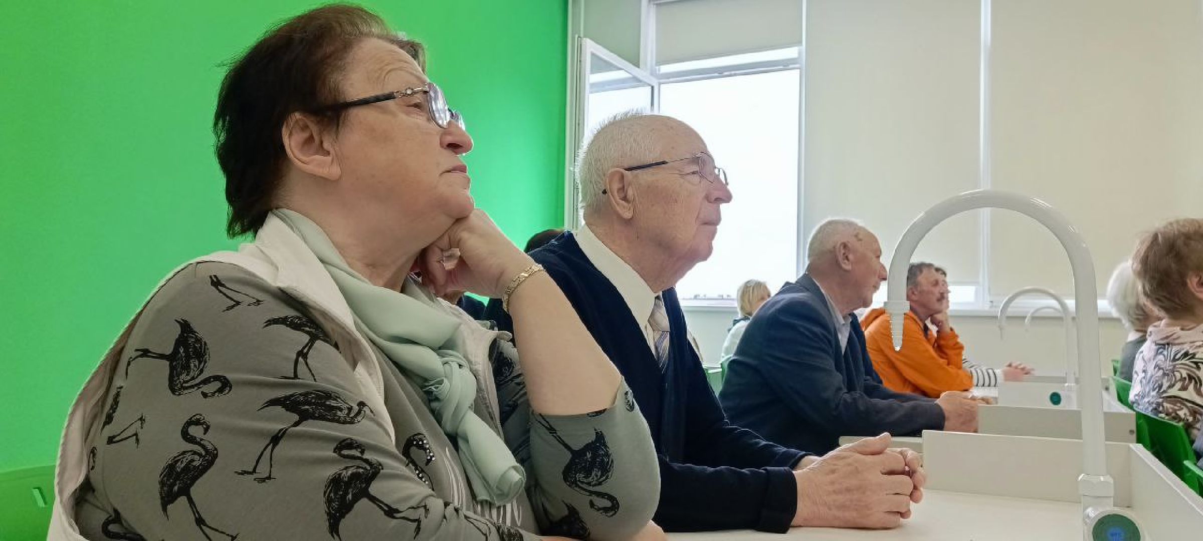 Дмитров, Совет старейшин, Останкинская школа,