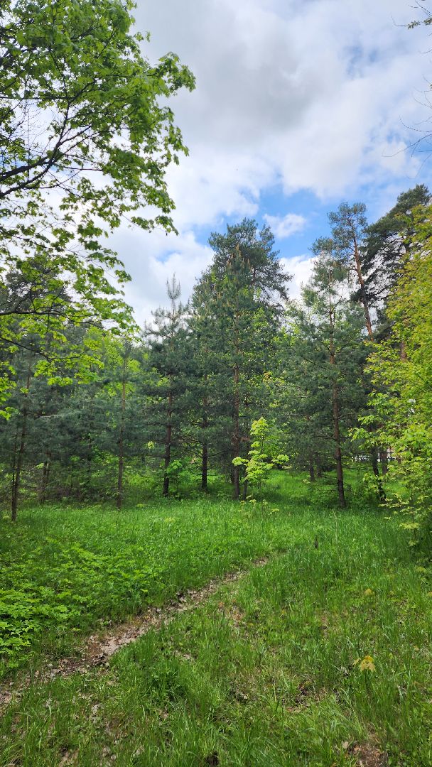 клещи, боррелиоз, анаплазмоз, эрлихиоз, болезнь Лайма, Жуковская ОКБ, Ирина Лукьяненко, врач-инфекционист,