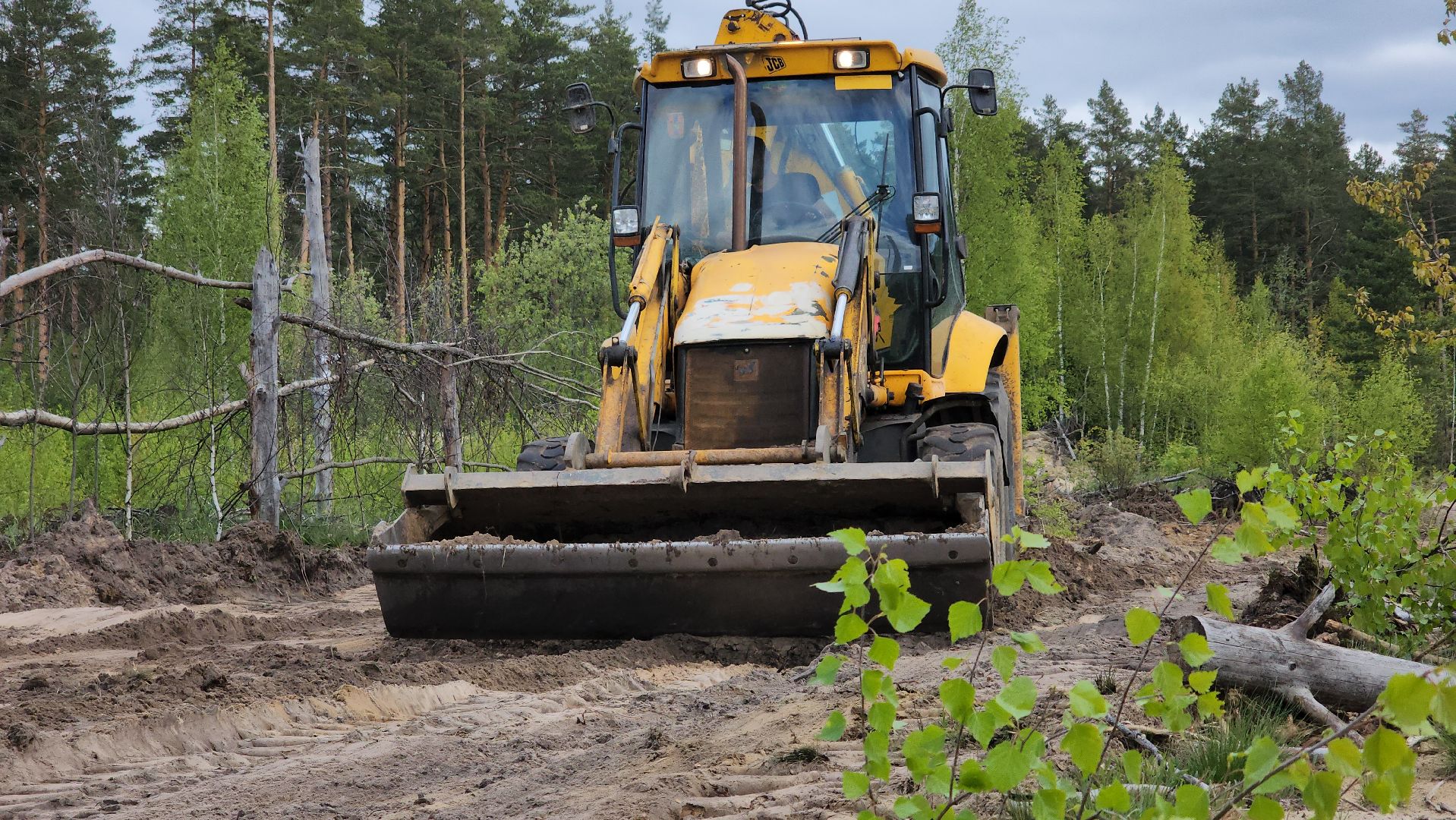 субботник, многодетные семьи, семьи участников сво, Лосино-Петровский,