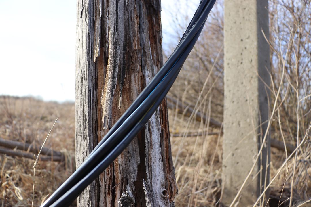 Серебряные Пруды, СНТ