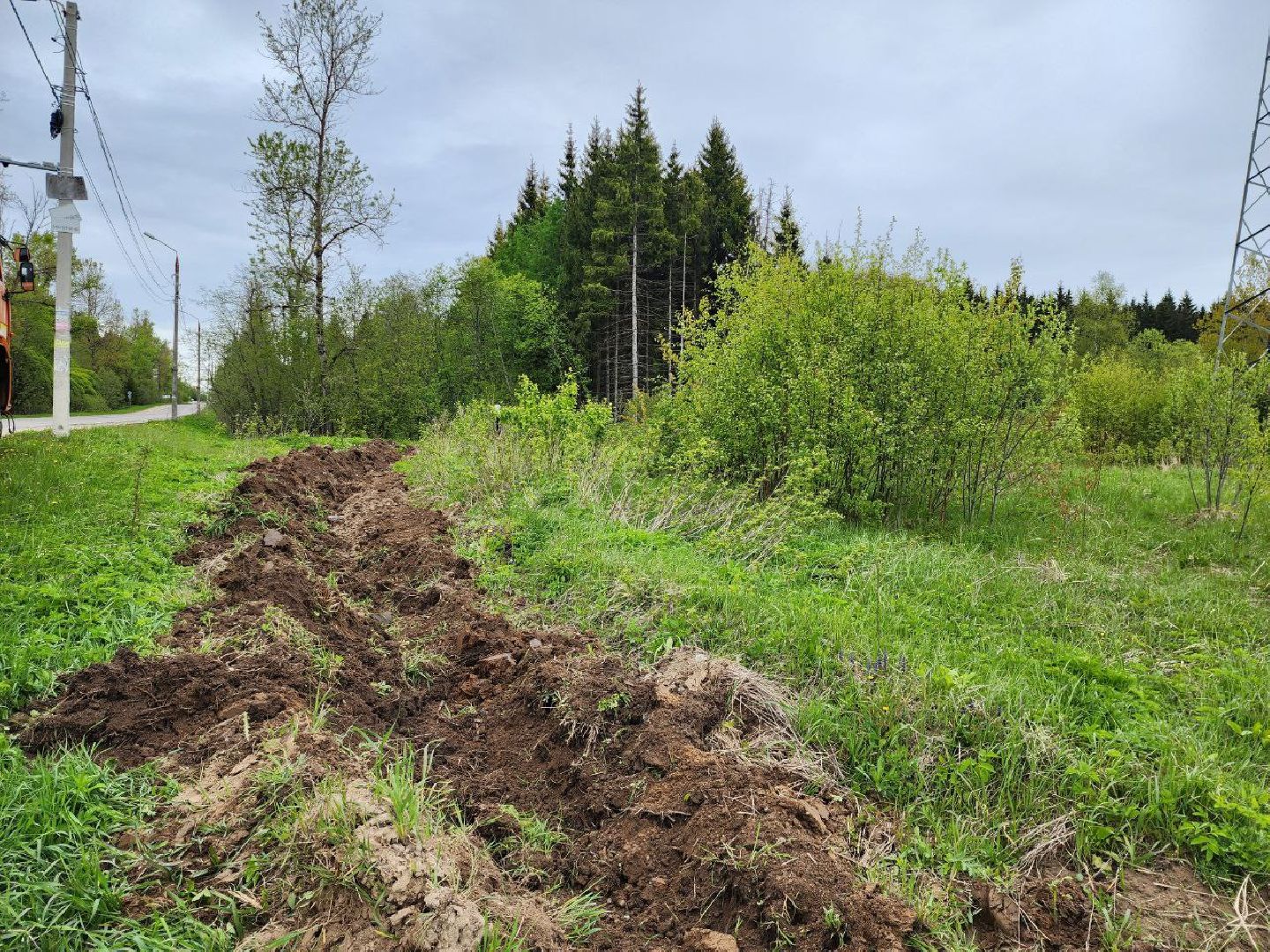 можайск, можайский городской округ, подмосковье, безопасность, минерализованные полосы, лес, лесное хозяйство, пожароопасный сезон,