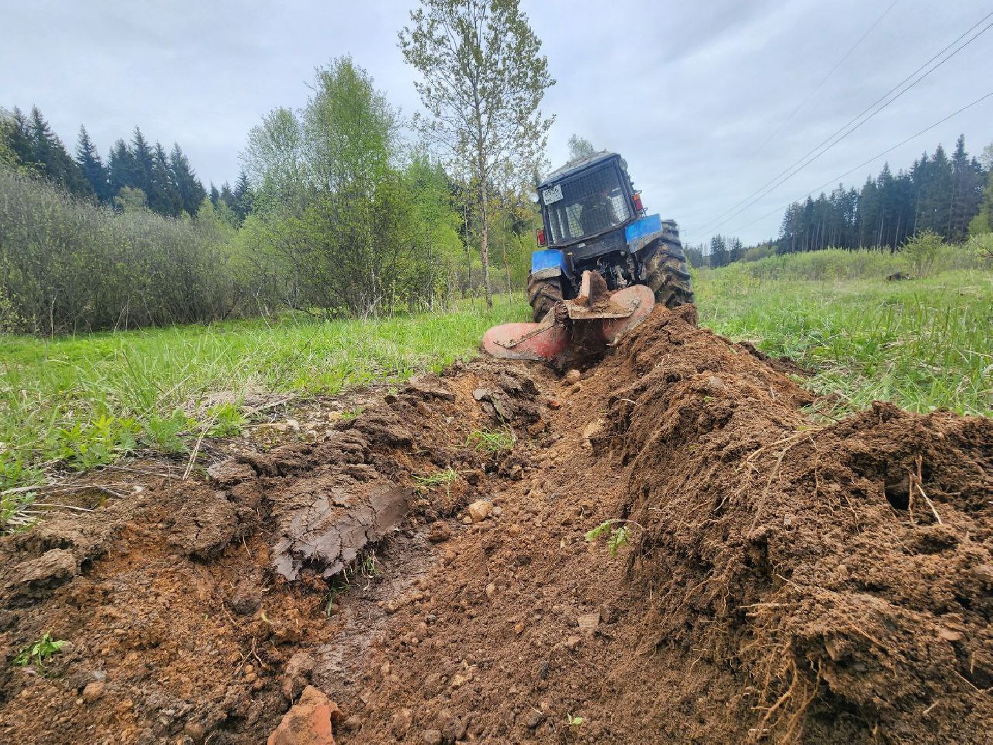 можайск, можайский городской округ, подмосковье, безопасность, минерализованные полосы, лес, лесное хозяйство, пожароопасный сезон,