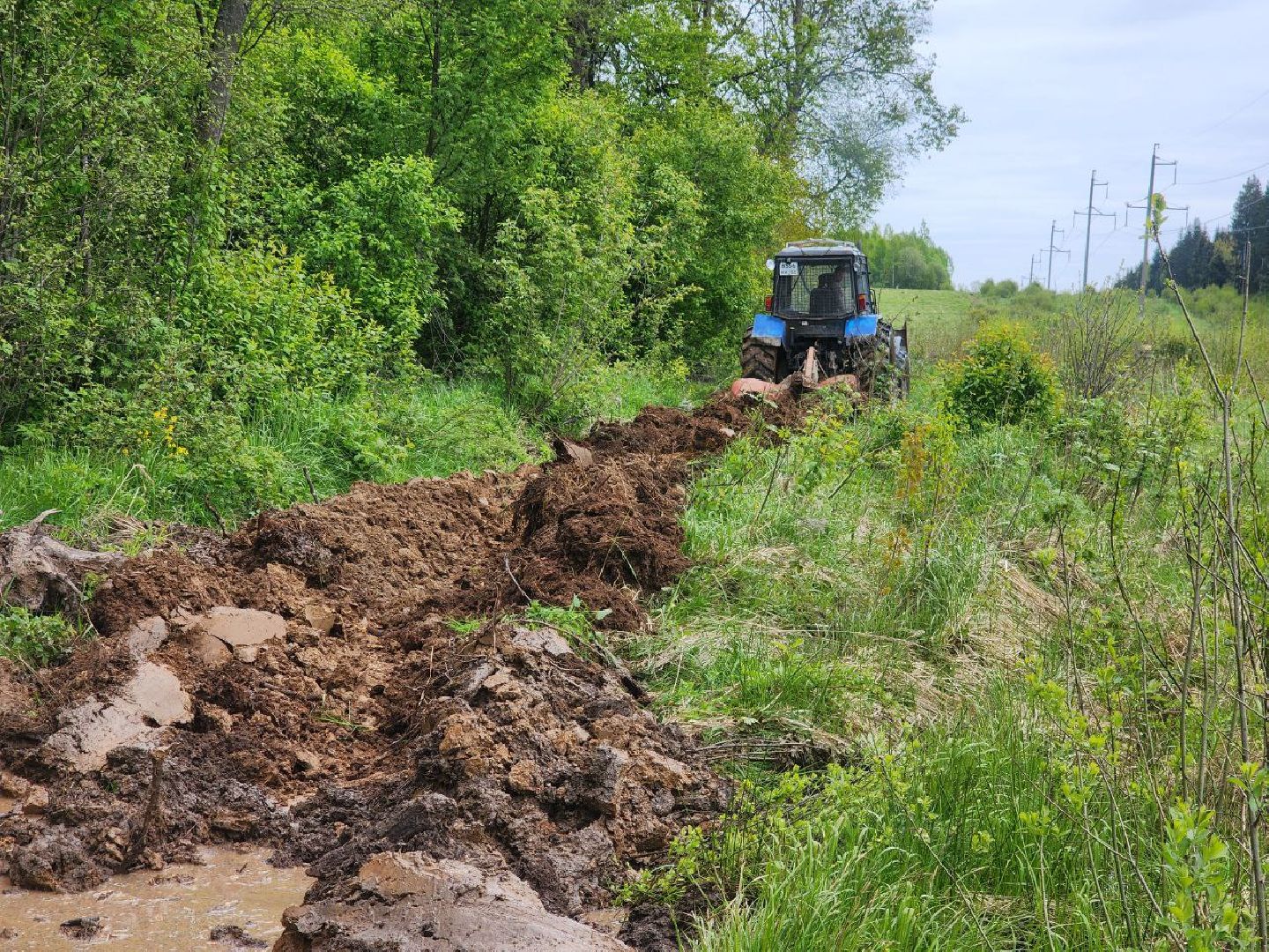 можайск, можайский городской округ, подмосковье, безопасность, минерализованные полосы, лес, лесное хозяйство, пожароопасный сезон,