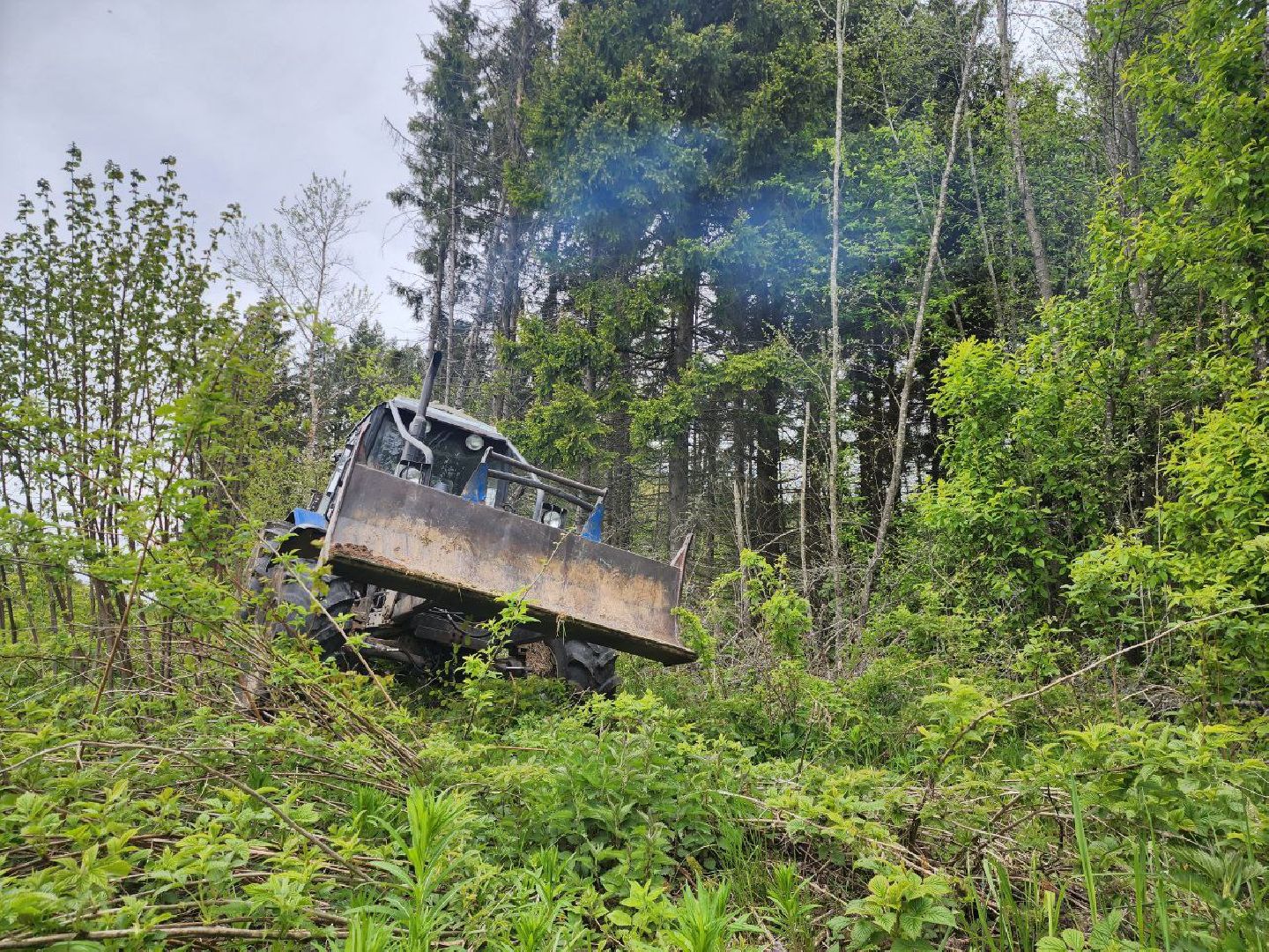 можайск, можайский городской округ, подмосковье, безопасность, минерализованные полосы, лес, лесное хозяйство, пожароопасный сезон,