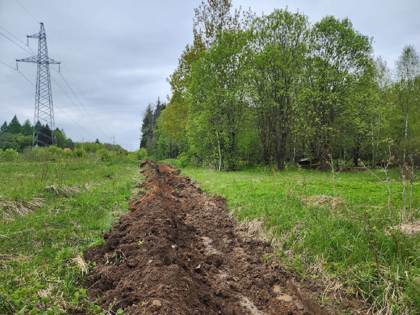 можайск, можайский городской округ, подмосковье, безопасность, минерализованные полосы, лес, лесное хозяйство, пожароопасный сезон,