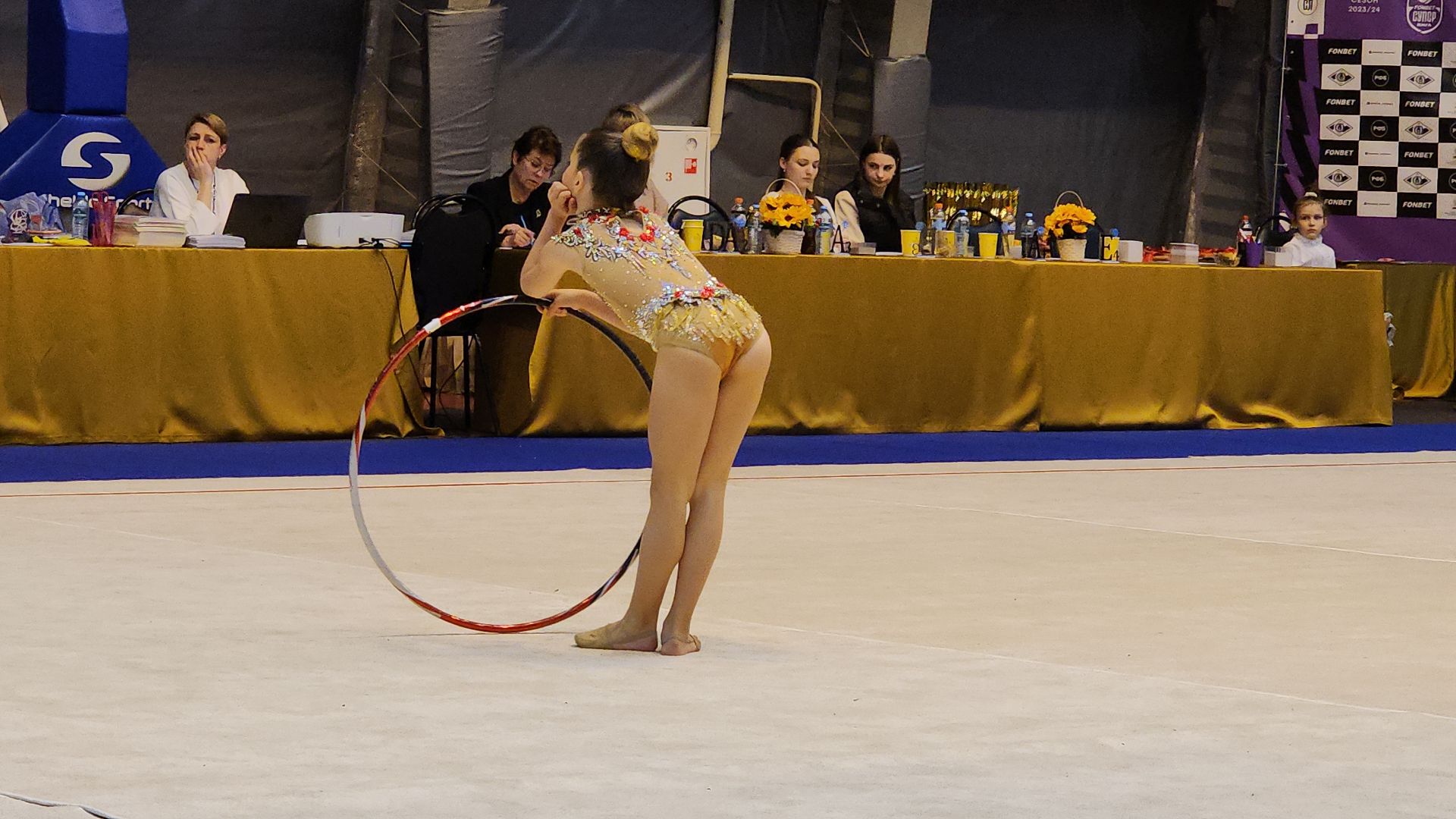 художественная гимнастика, турнир, СОК Знамя, Ногинск, Богородский городской округ,