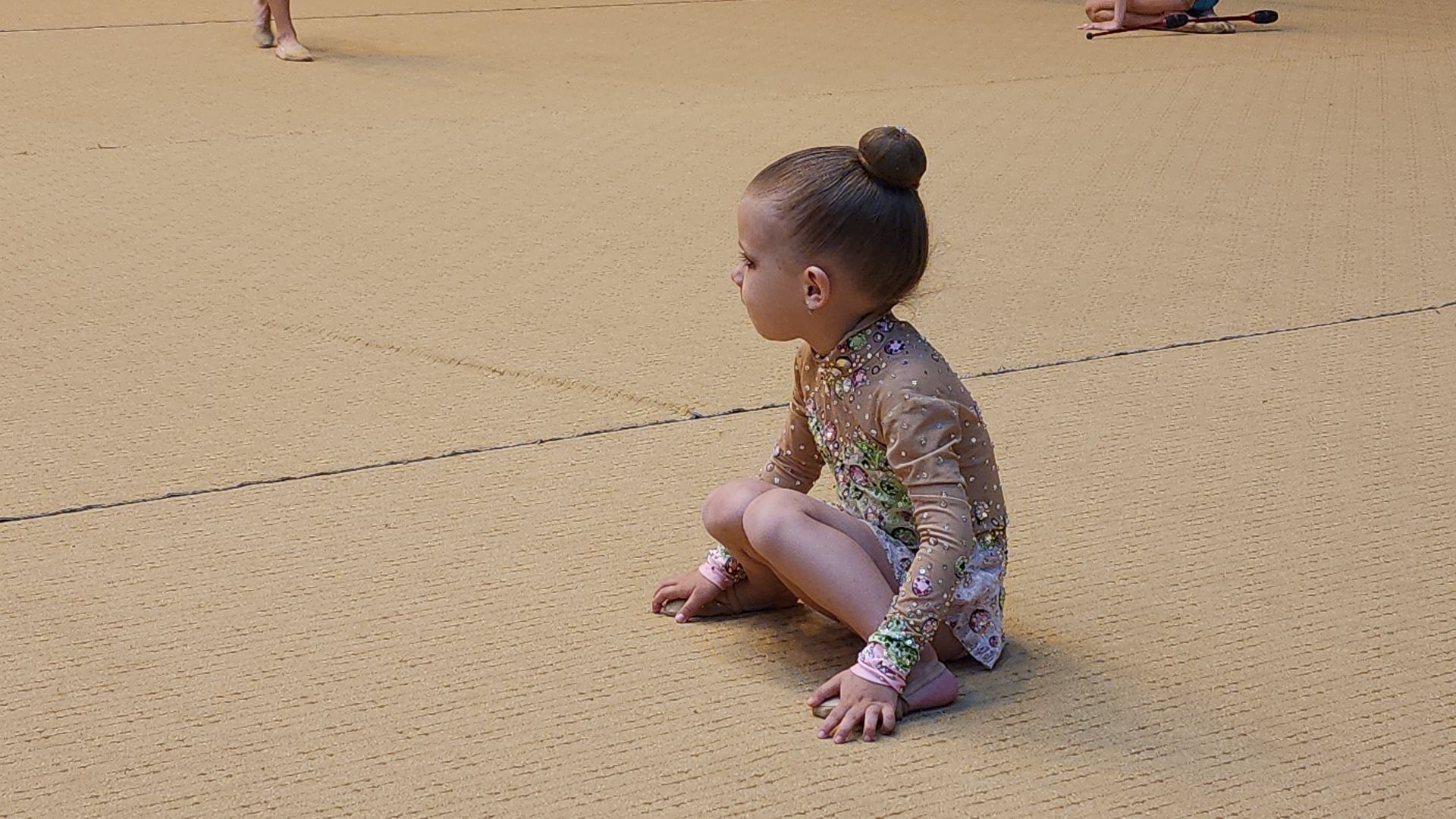 художественная гимнастика, турнир, СОК Знамя, Ногинск, Богородский городской округ,