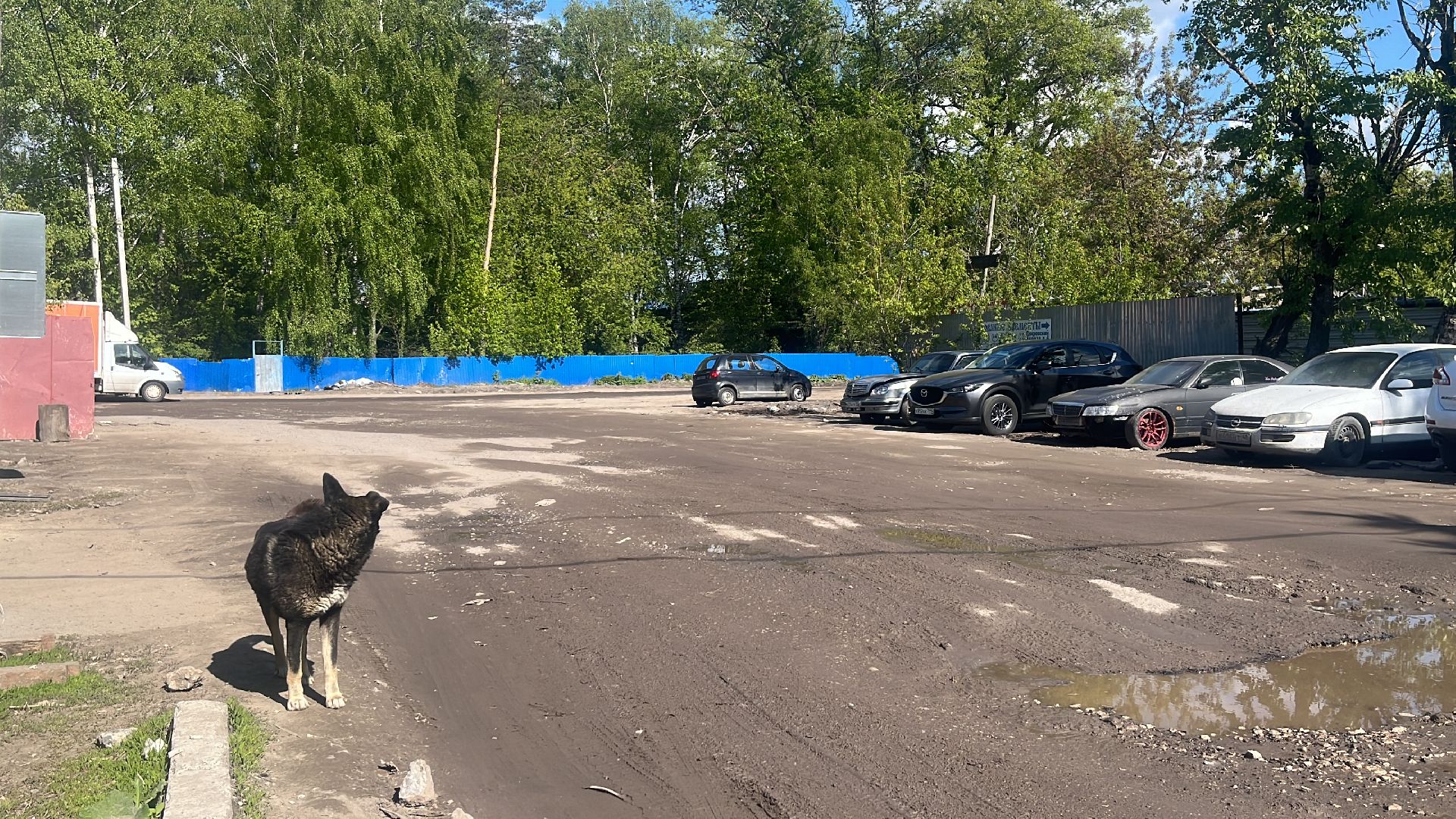 дороги, ремонт, ремонт дорог, ремонт дороги,