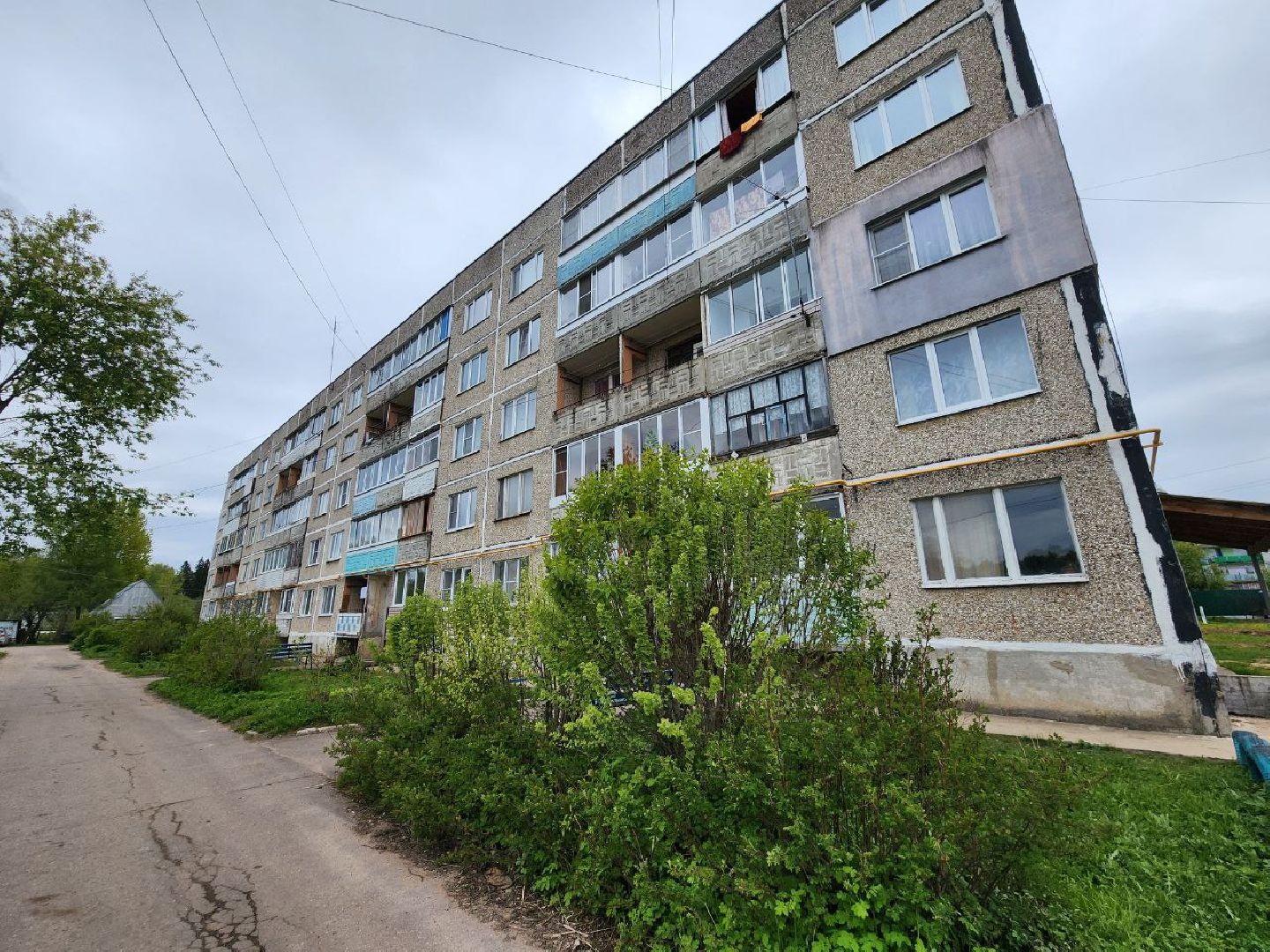 можайск, можайский городской округ, подмосковье, выездная администрация, власть, власти округа, просьбы жителей, благоустройство, спилили дерево,
