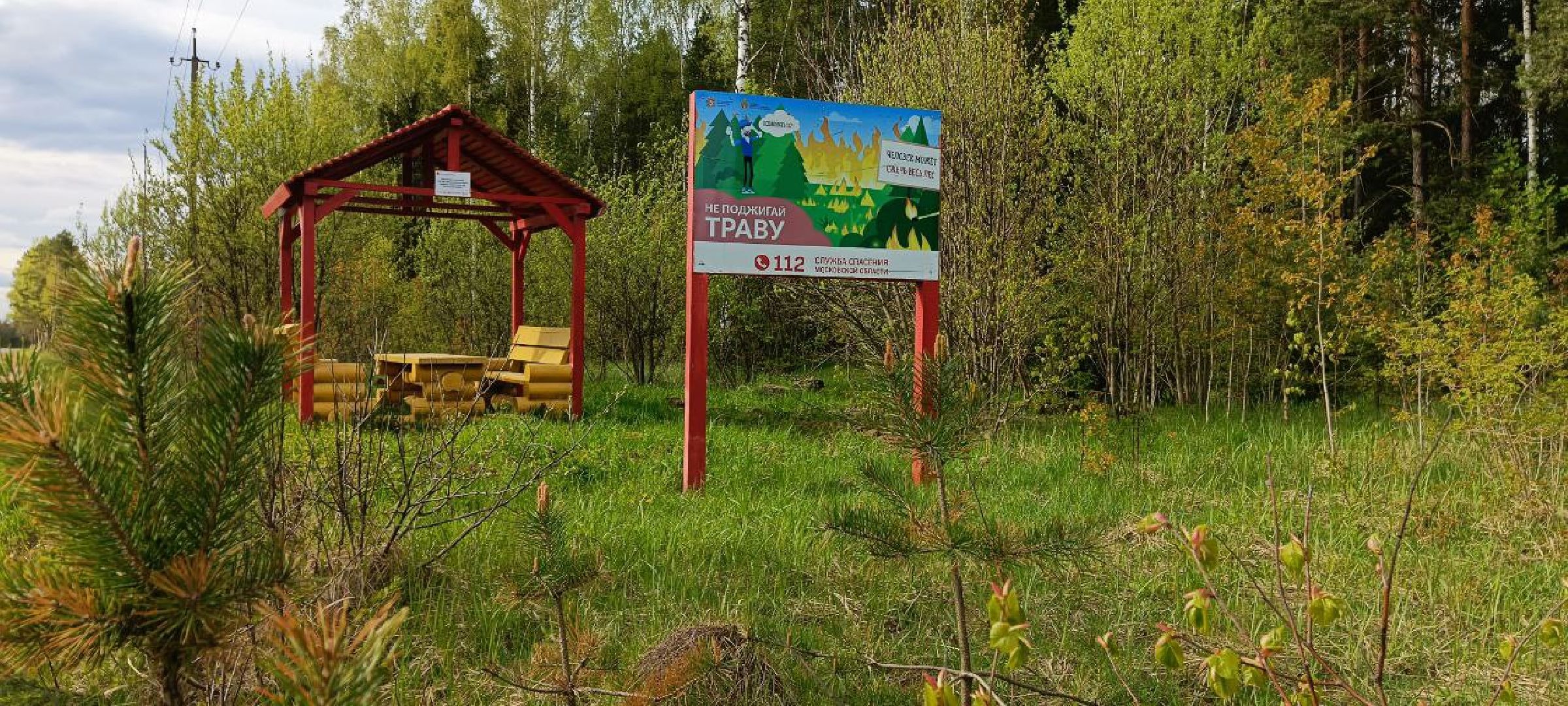 Талдом, Мослесхоз,