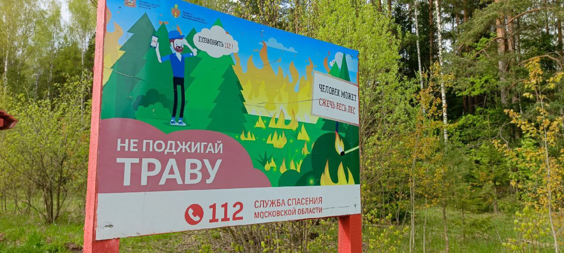 Талдом, Мослесхоз,