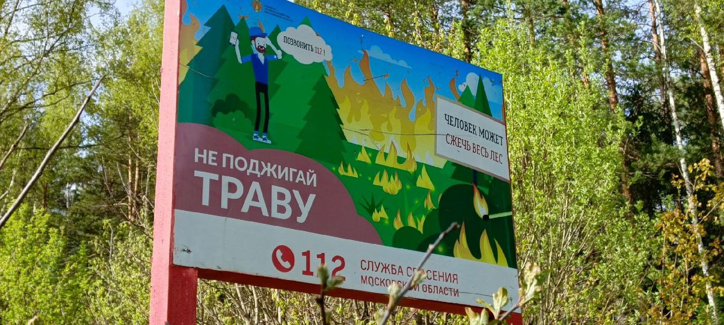 Талдом, Мослесхоз,