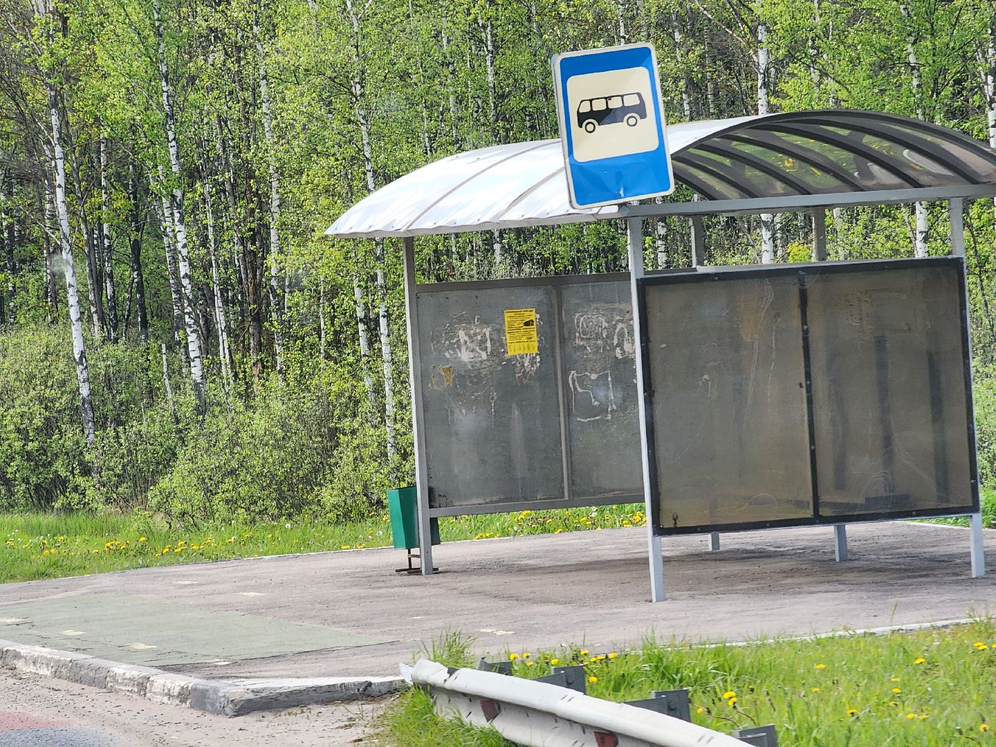 выездная администрация, строительство пешеходного перехода,Центравтомагистраль, Ногинск, Богородский городской округ,