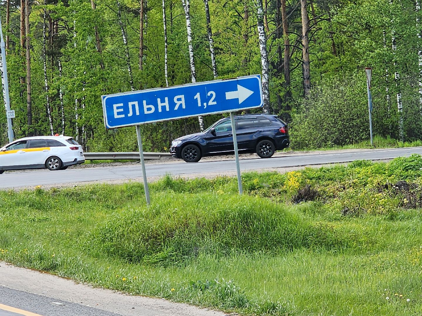 выездная администрация, строительство пешеходного перехода,Центравтомагистраль, Ногинск, Богородский городской округ,