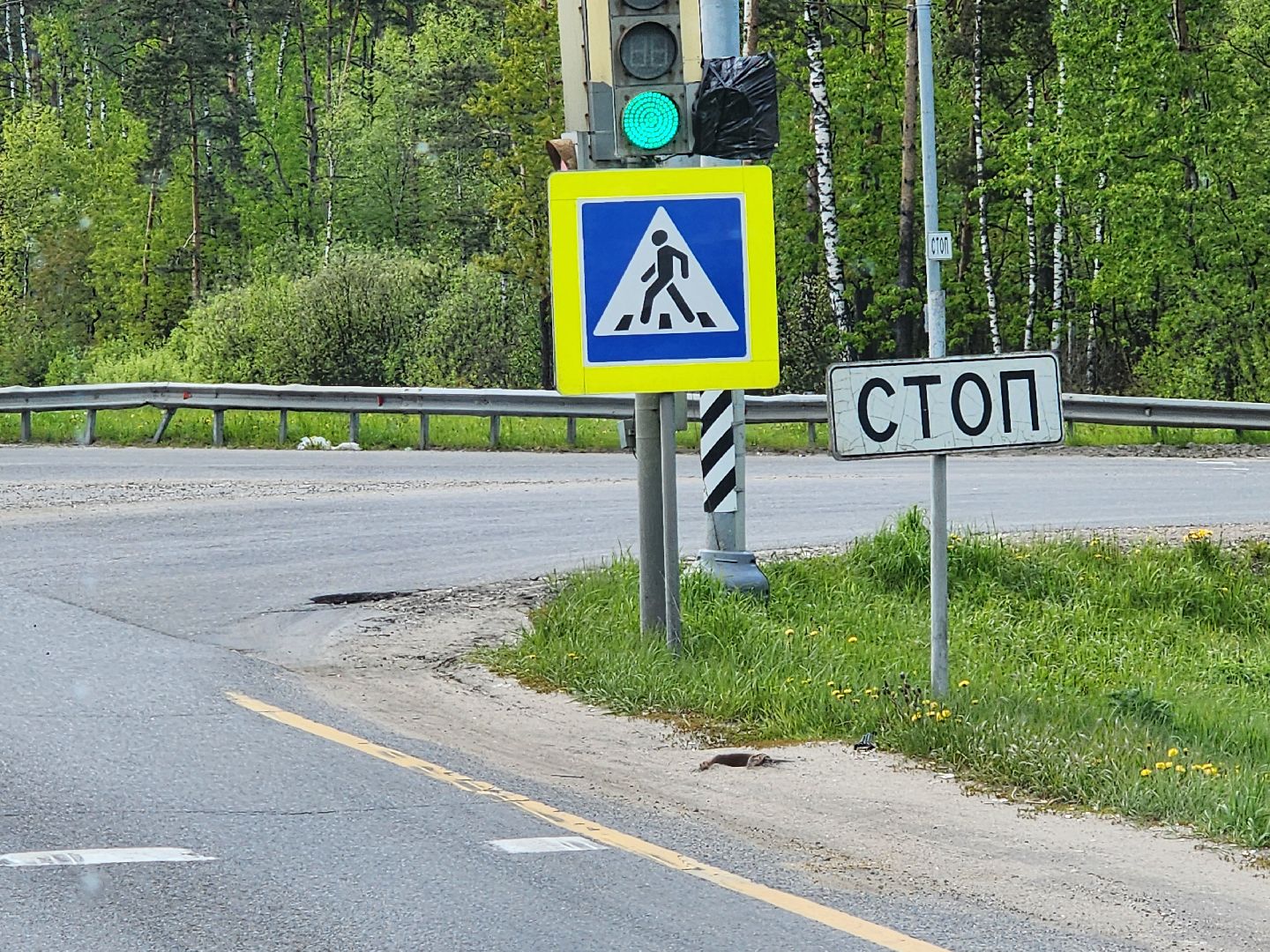 выездная администрация, строительство пешеходного перехода,Центравтомагистраль, Ногинск, Богородский городской округ,