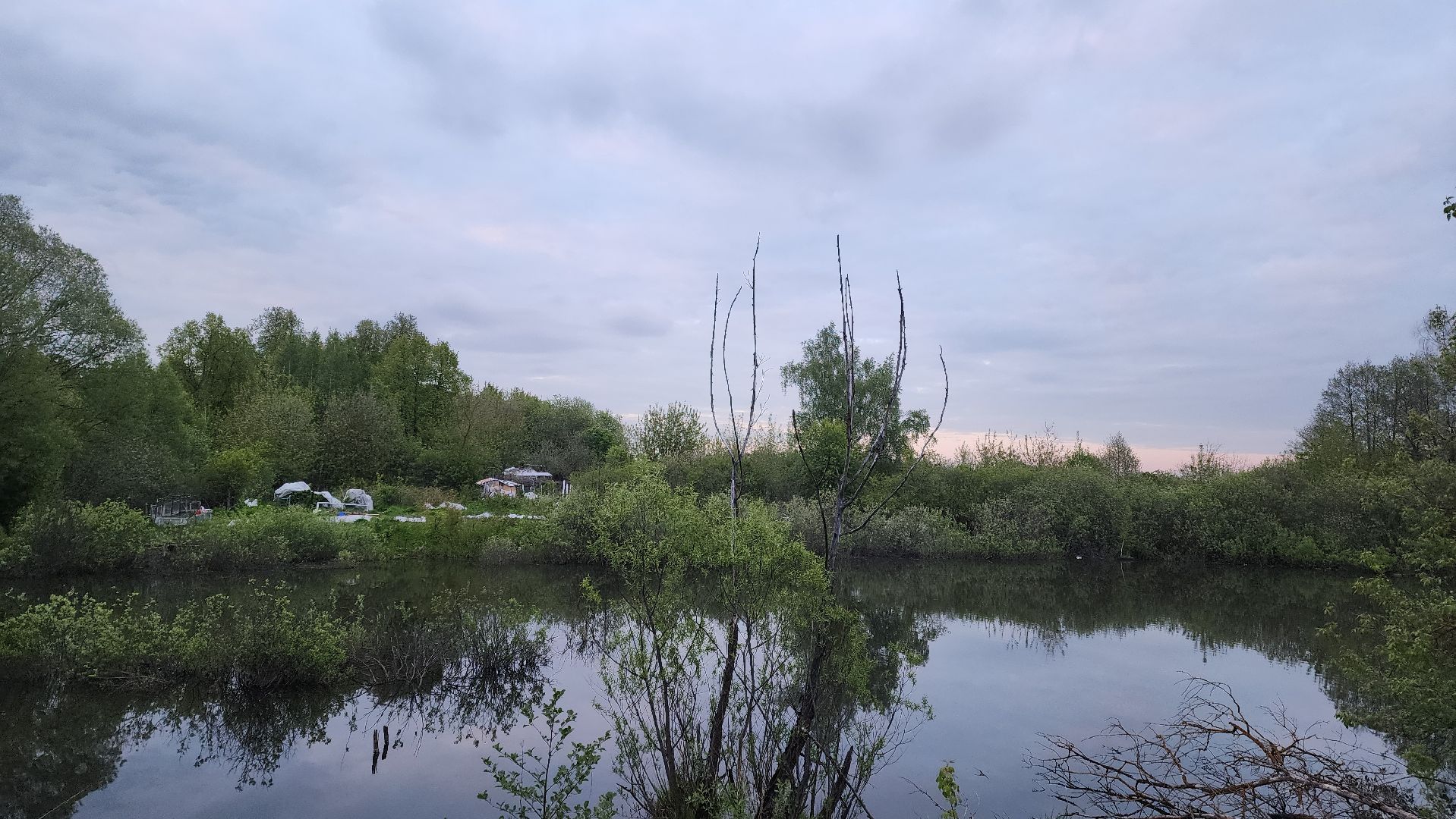 Подольск, Выездная администрация, несанкционированный мусор, жители,