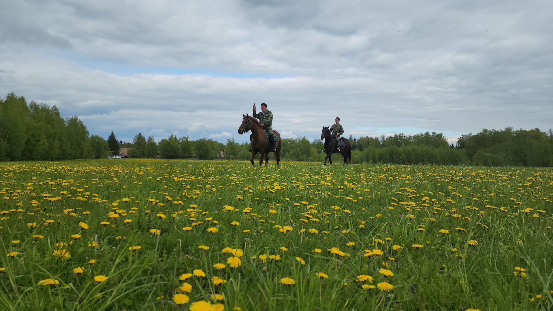 казаки, казачество, руза, рузский городской округ, подмосковье, безопасность, конный патруль,