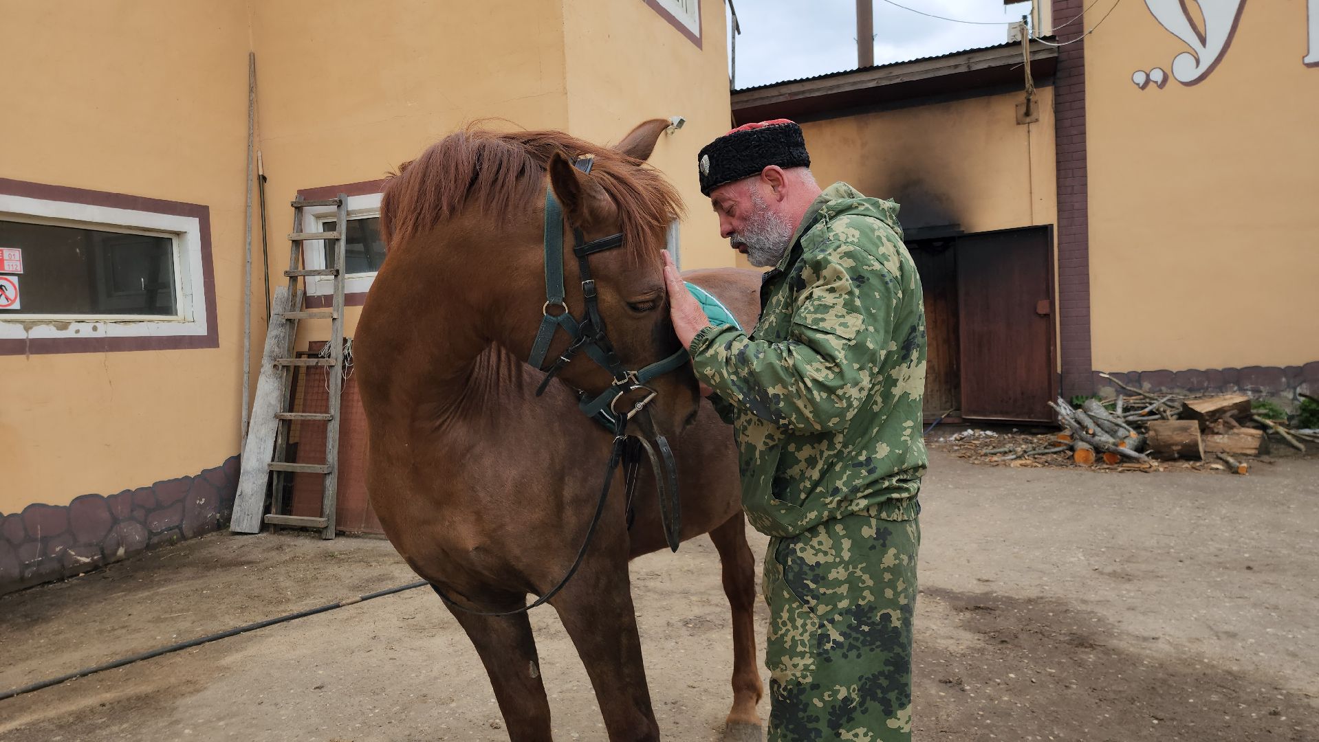 казаки, казачество, руза, рузский городской округ, подмосковье, безопасность, конный патруль,