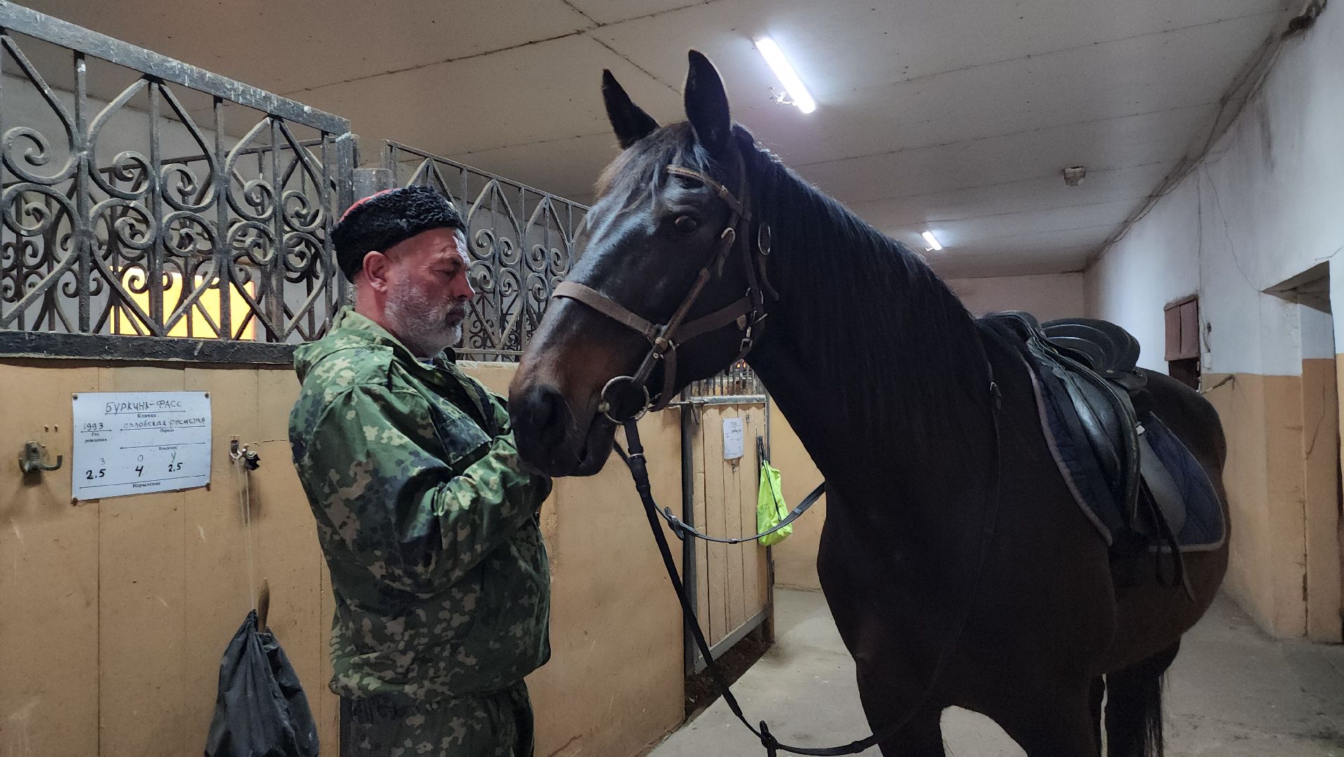 казаки, казачество, руза, рузский городской округ, подмосковье, безопасность, конный патруль,