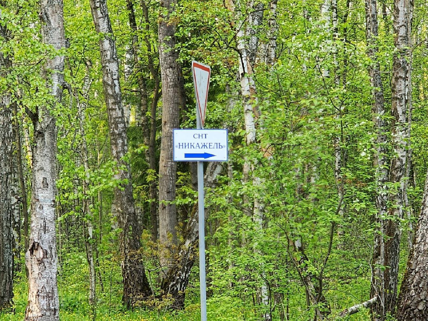 чехов, выездная администрация, жители, снт, дорога,