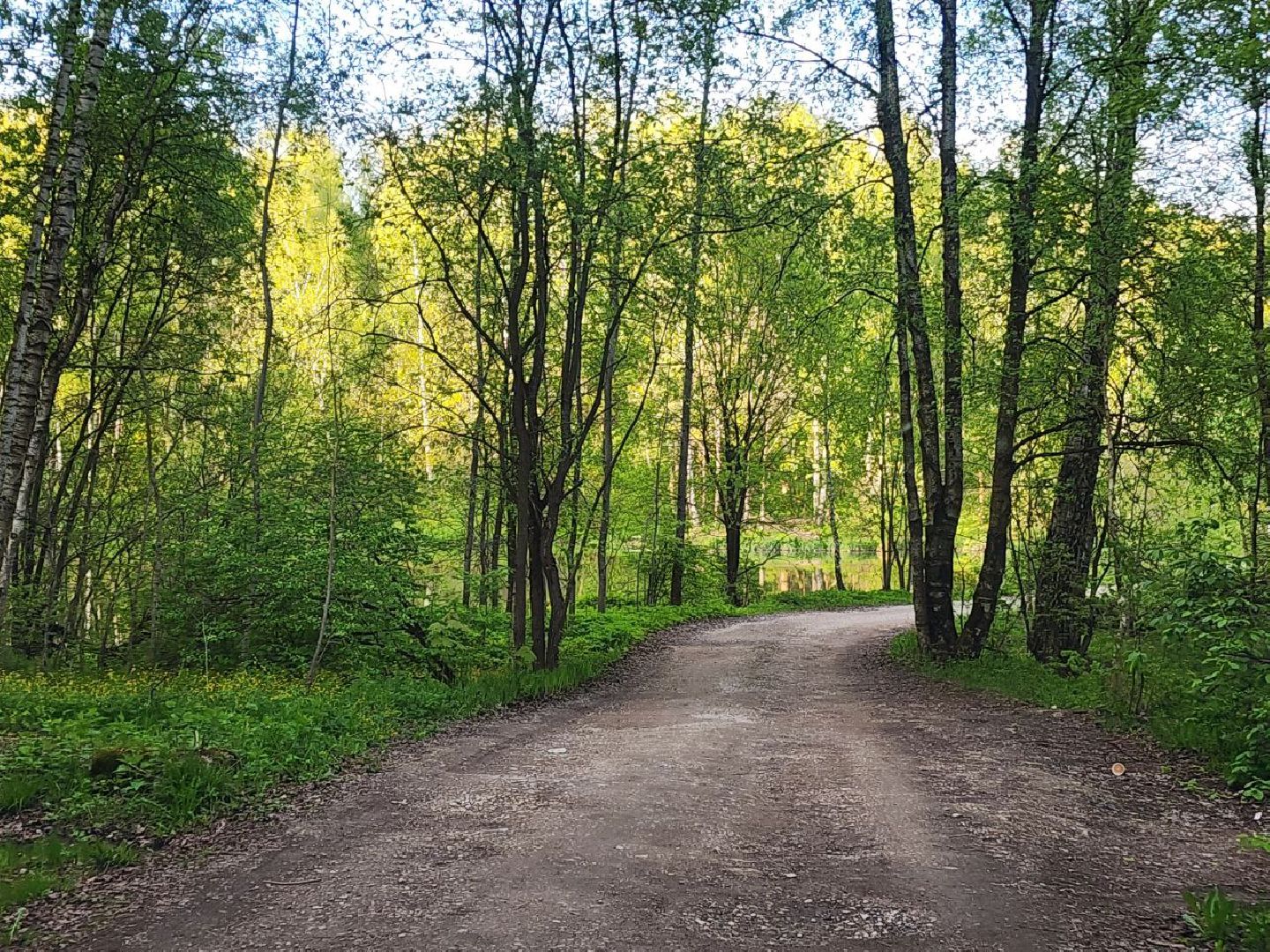 чехов, выездная администрация, жители, снт, дорога,