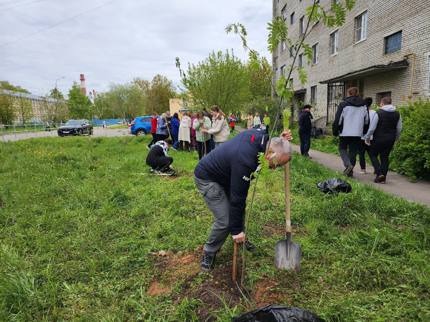 серпухов, поселок большевик, аллея памяти, день победы, юноармейцы, школьники, депутат-эколог,