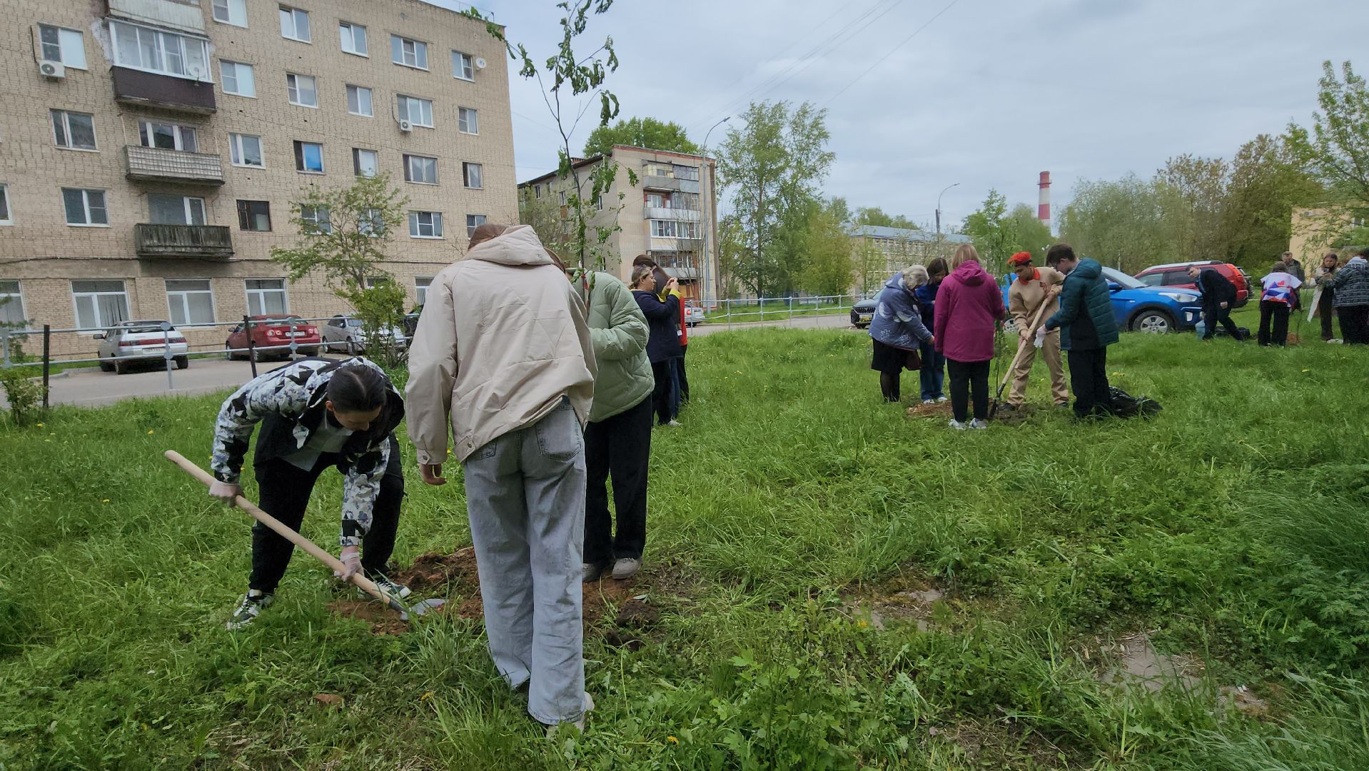 серпухов, поселок большевик, аллея памяти, день победы, юноармейцы, школьники, депутат-эколог,