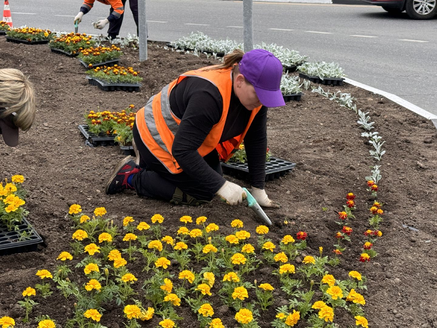 Одинцово, Цветы, Озеленение, Благоустройство,