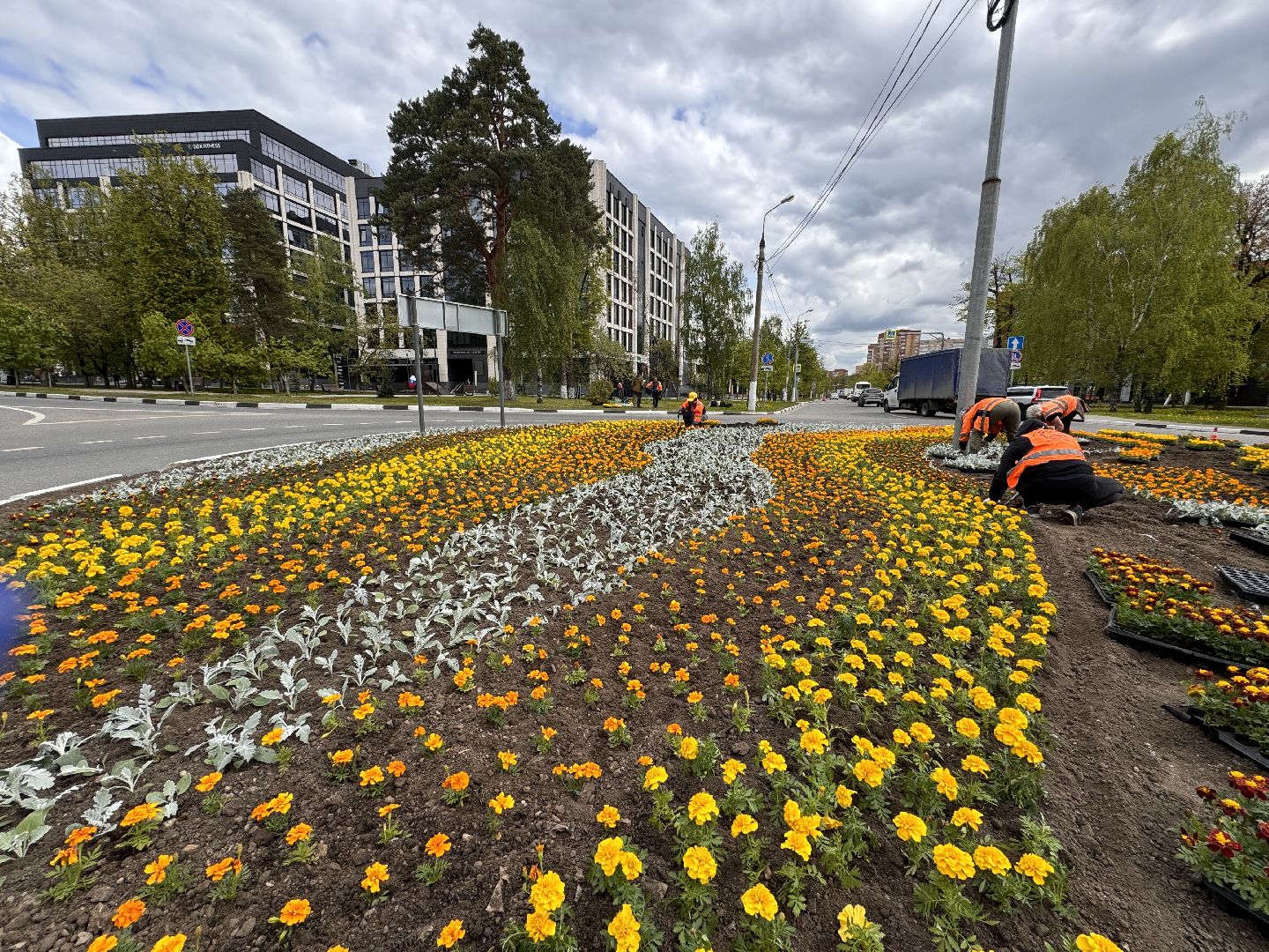 Одинцово, Цветы, Озеленение, Благоустройство,