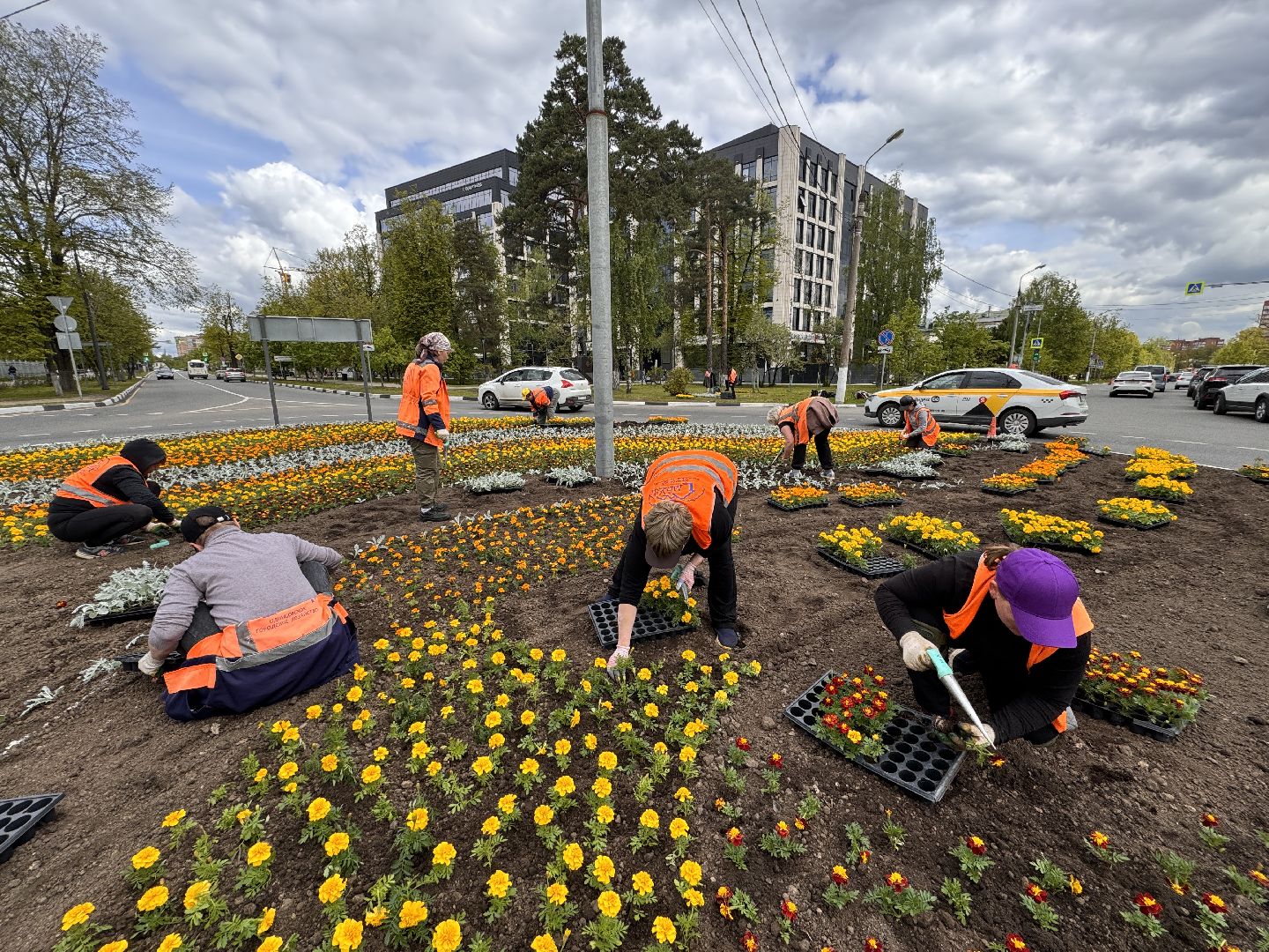 Одинцово, Цветы, Озеленение, Благоустройство,