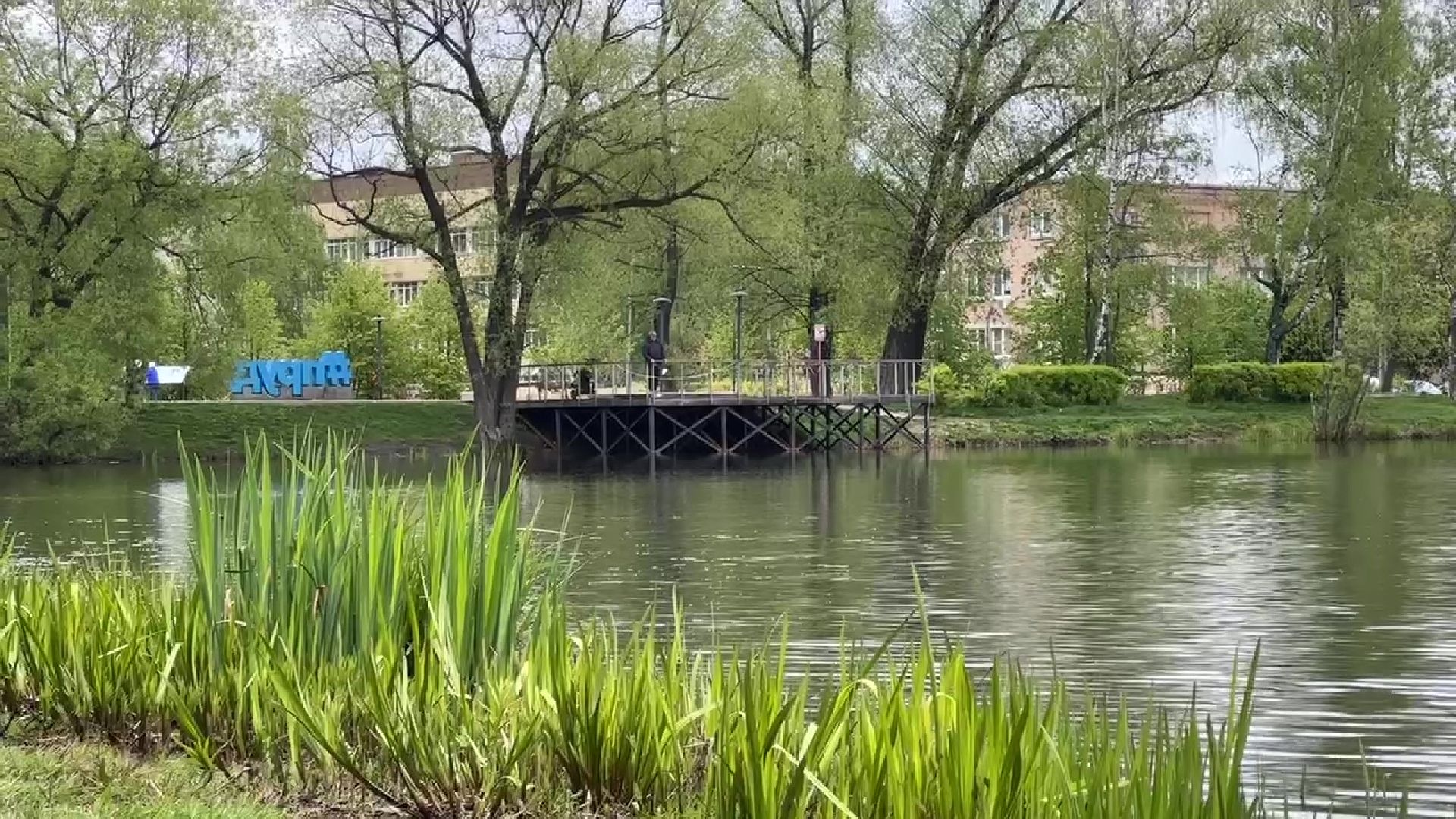 реутов, общественный огород, растения,