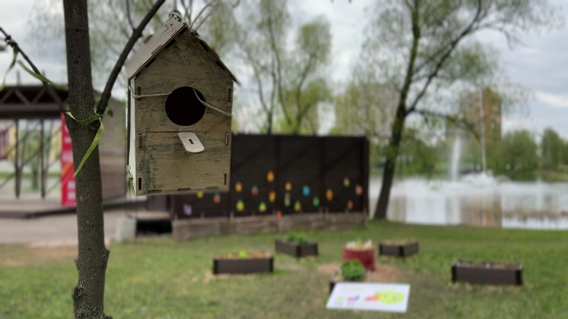 реутов, общественный огород, растения,