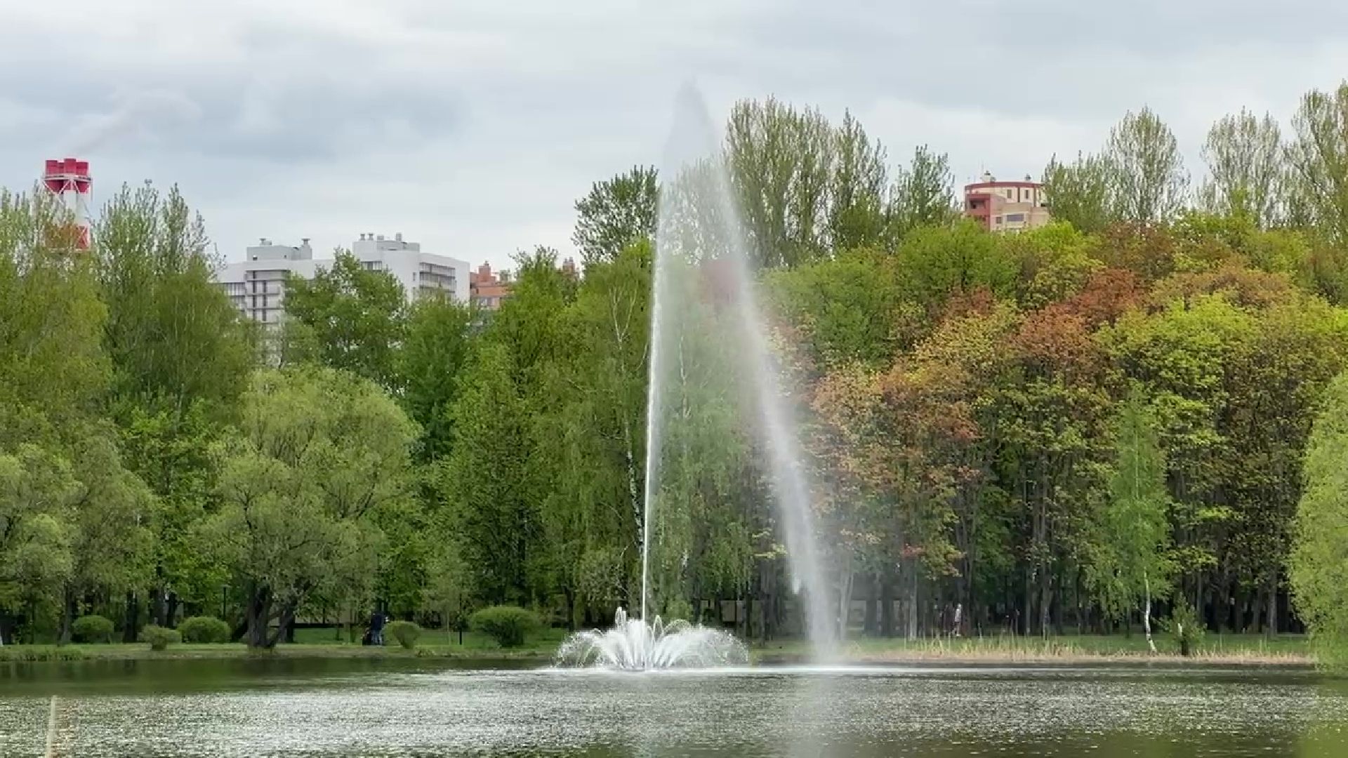 реутов, общественный огород, растения,