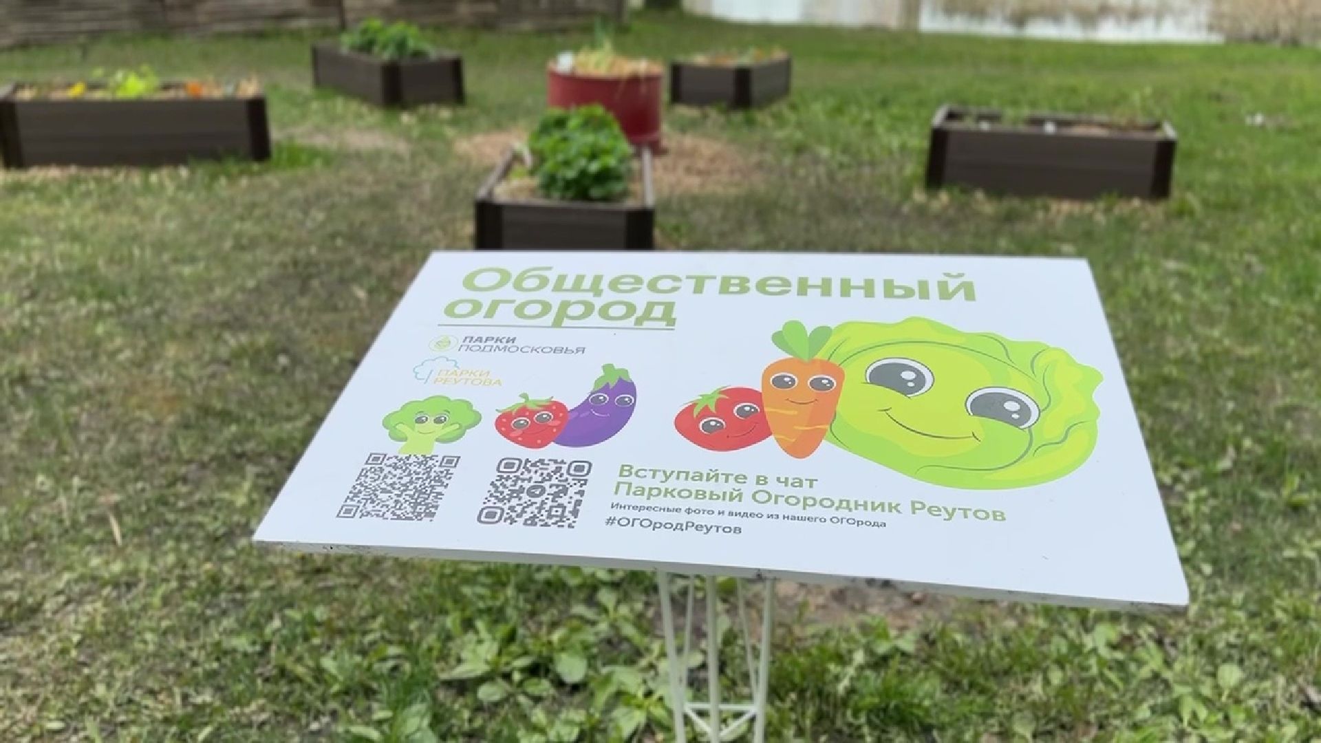 реутов, общественный огород, растения,