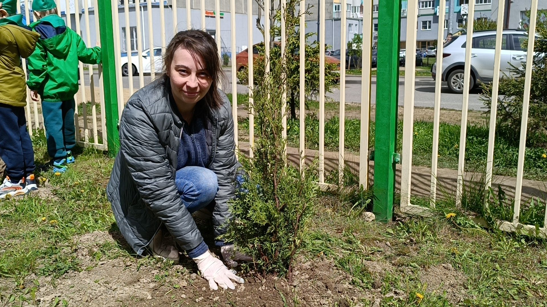 деревья, цветы, лобня,