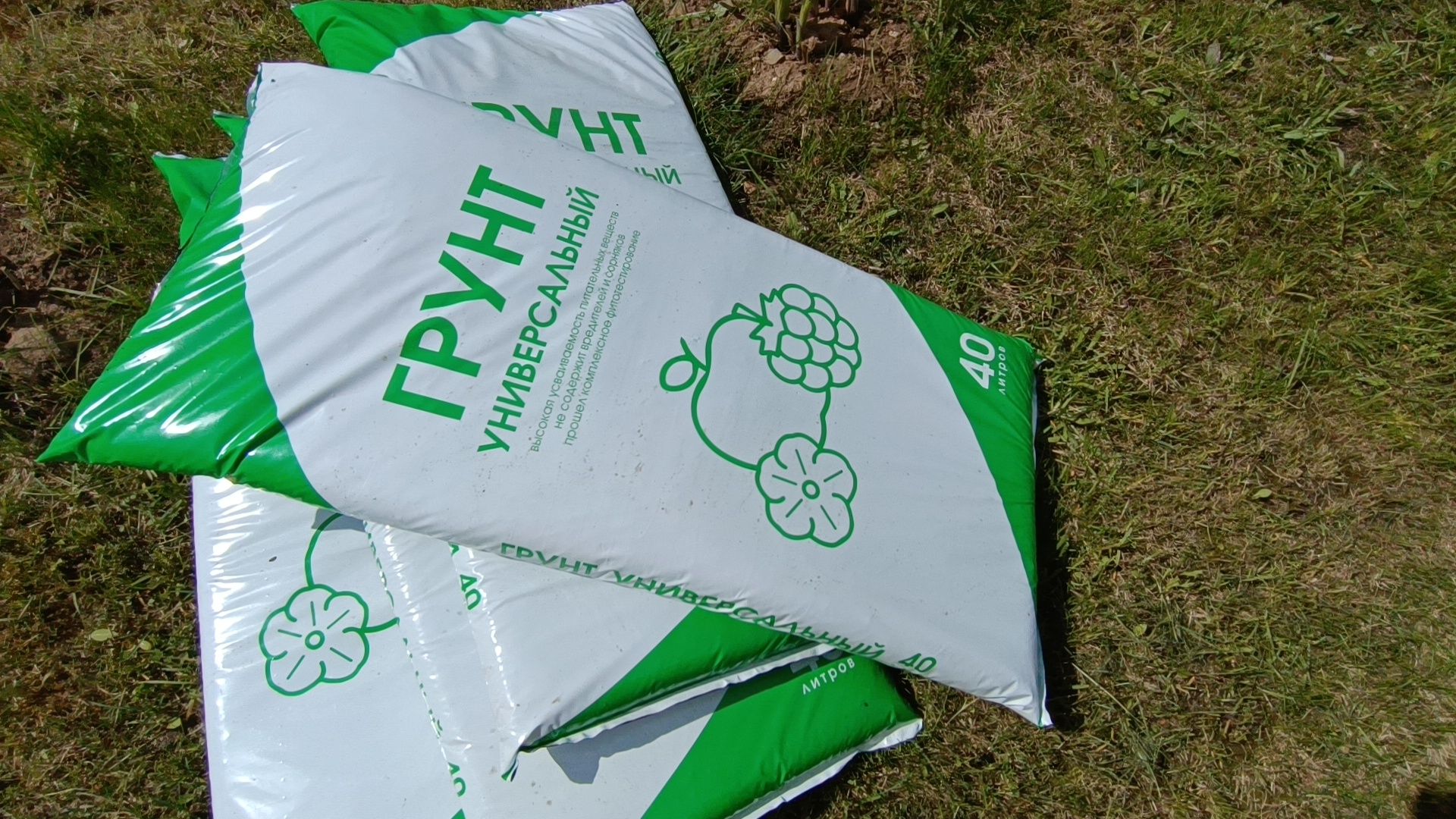 деревья, цветы, лобня,