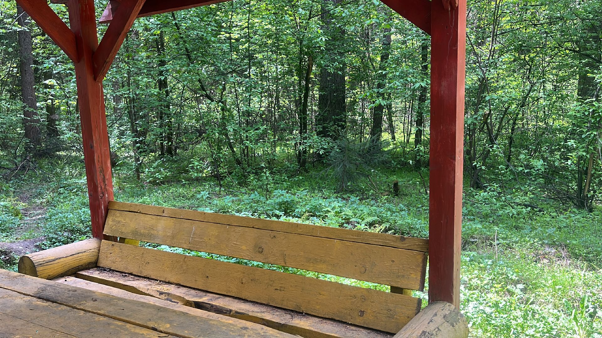 шашлык, шашлыки, лес, шашлык в лесу, мангал,