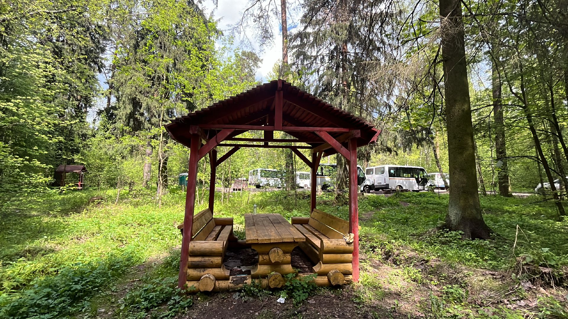 шашлык, шашлыки, лес, шашлык в лесу, мангал,