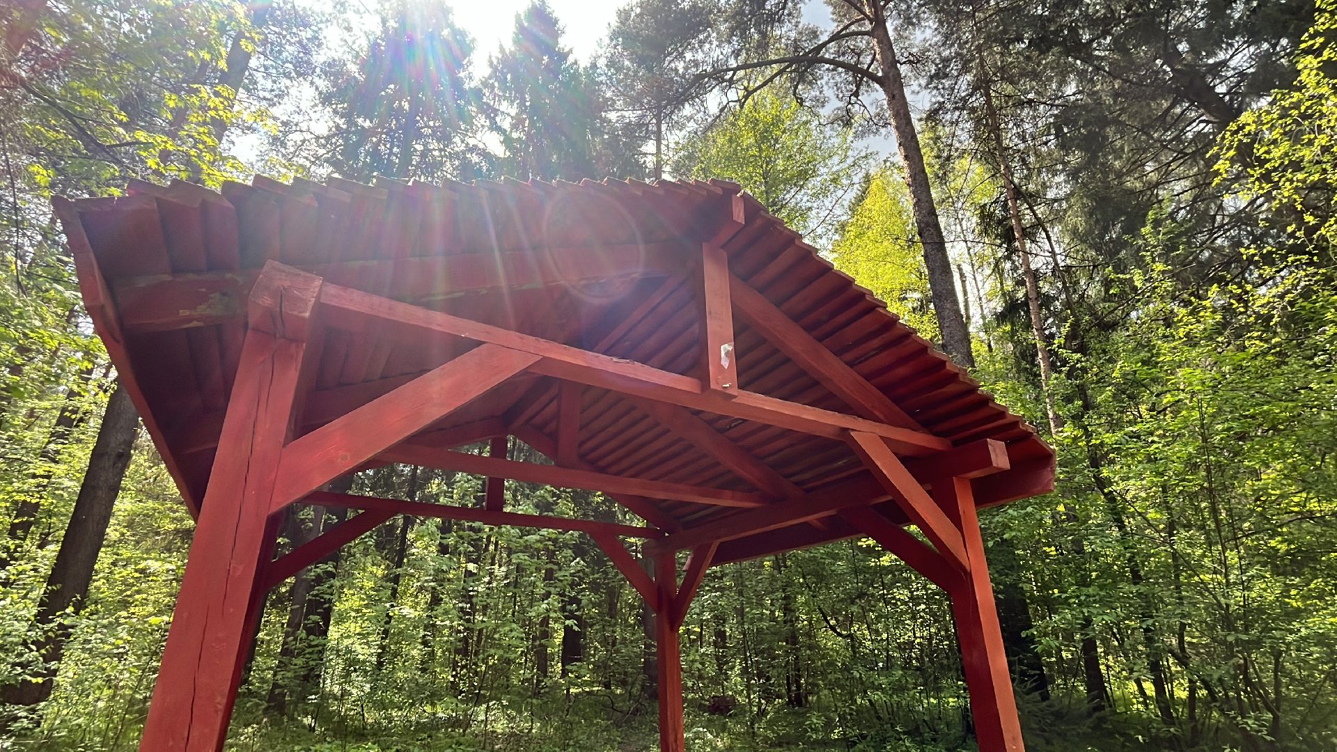 шашлык, шашлыки, лес, шашлык в лесу, мангал,