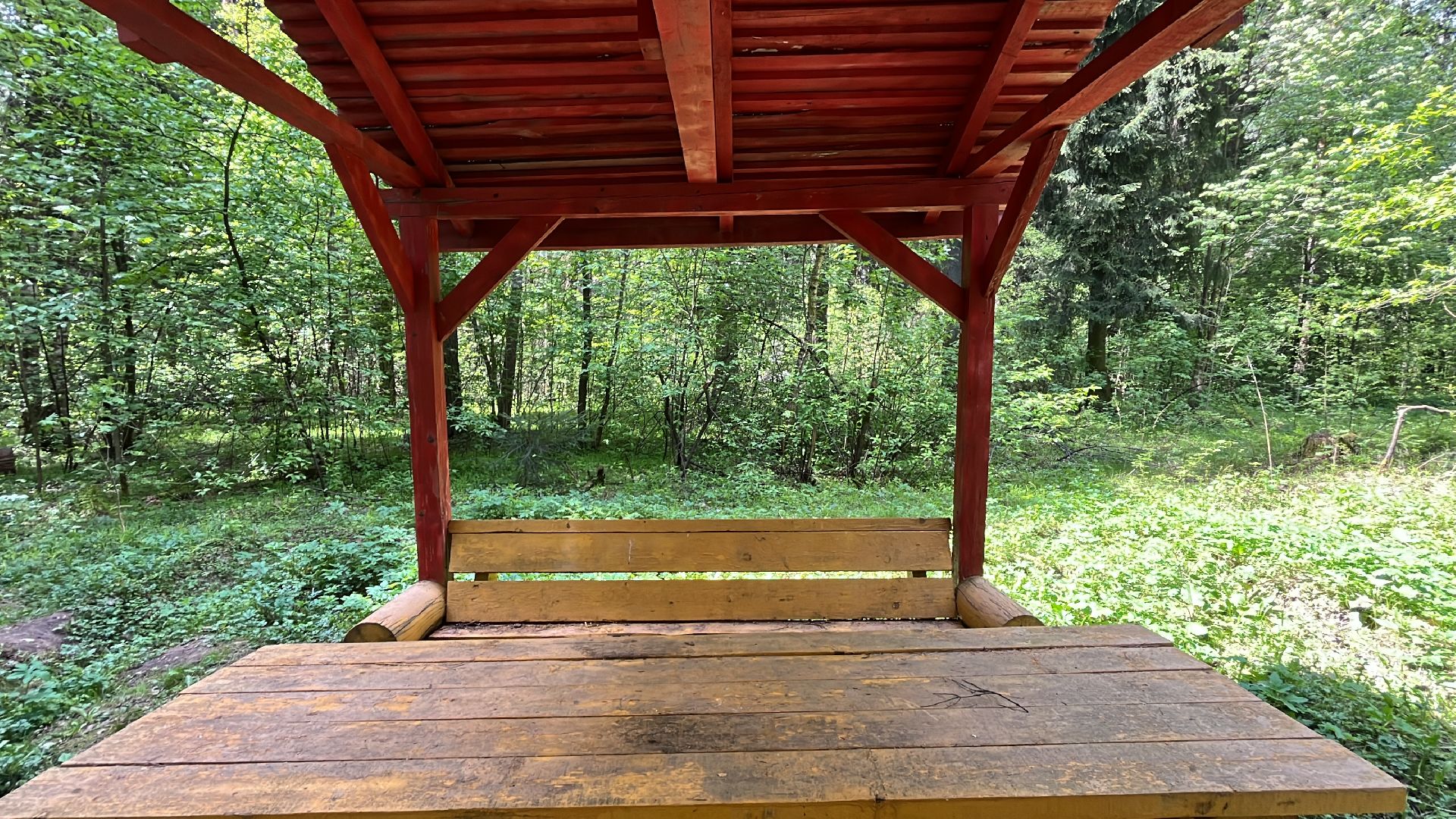 шашлык, шашлыки, лес, шашлык в лесу, мангал,