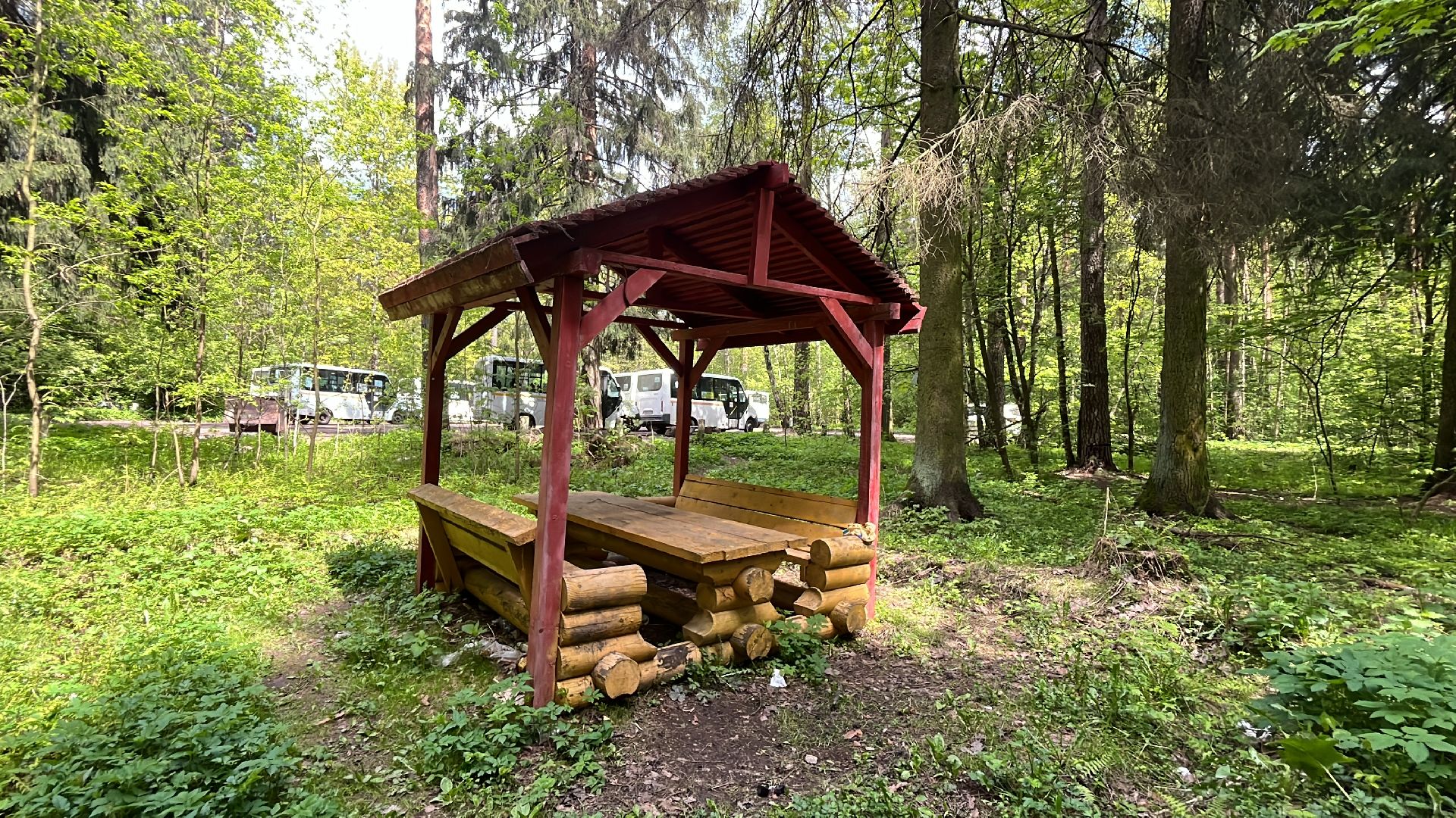 шашлык, шашлыки, лес, шашлык в лесу, мангал,