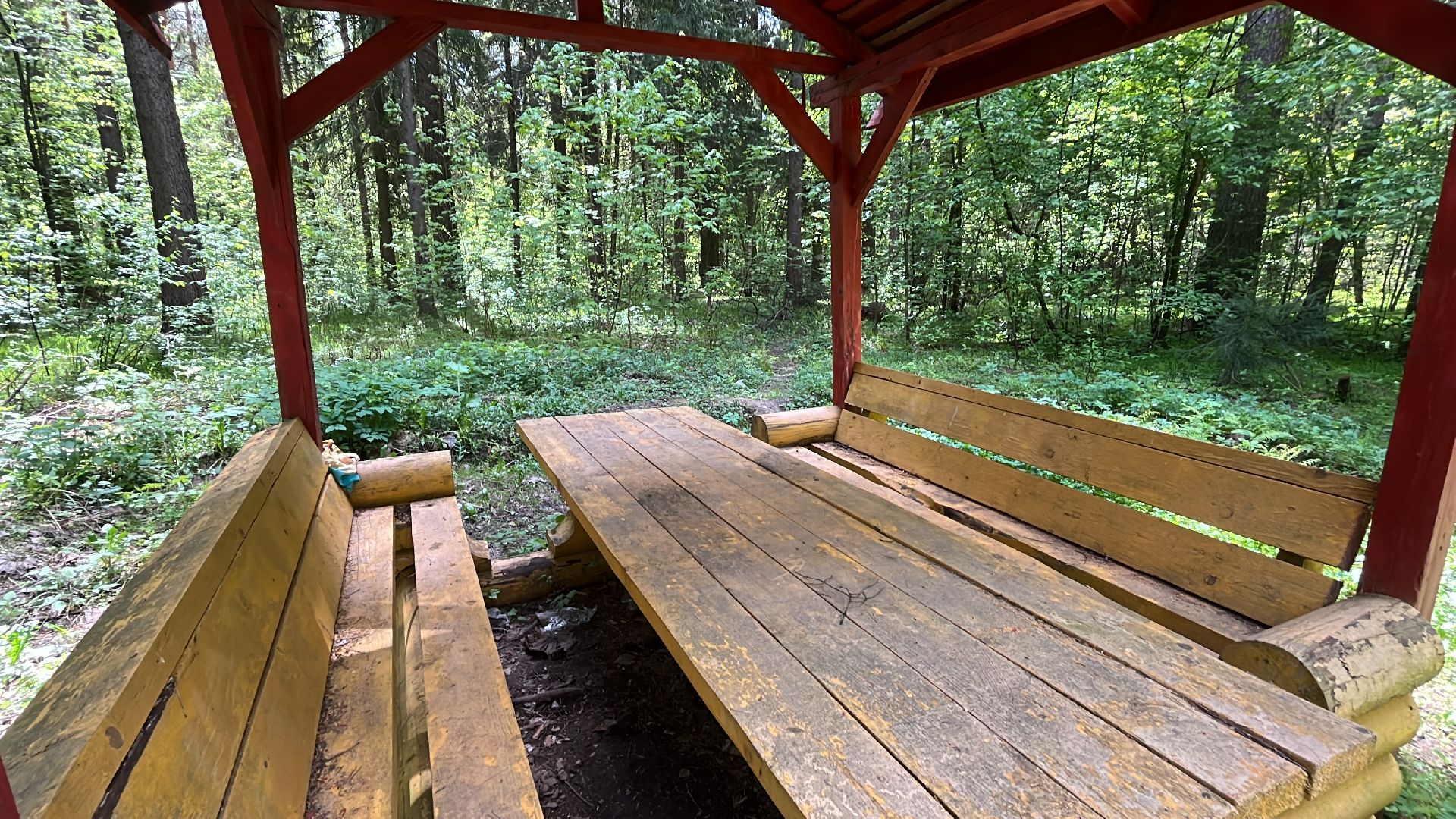 шашлык, шашлыки, лес, шашлык в лесу, мангал,