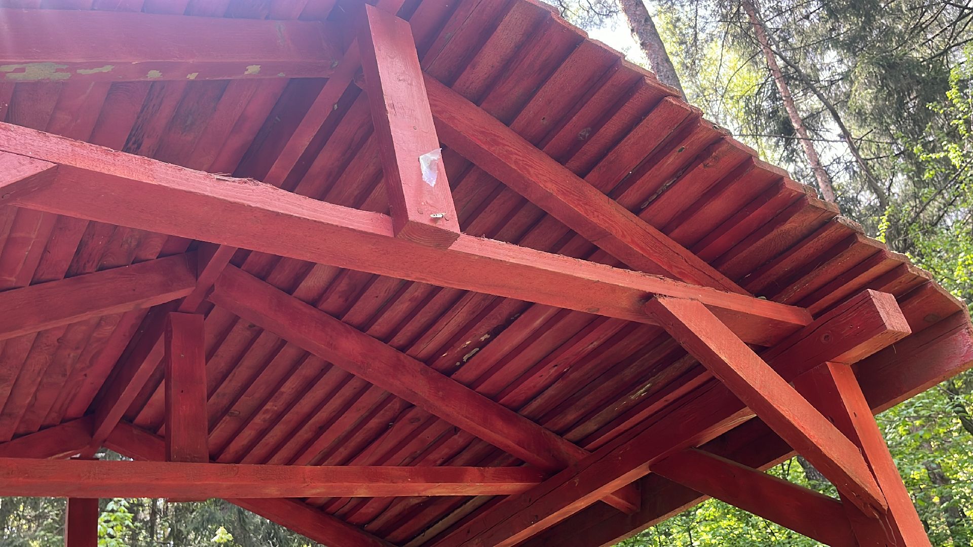 шашлык, шашлыки, лес, шашлык в лесу, мангал,