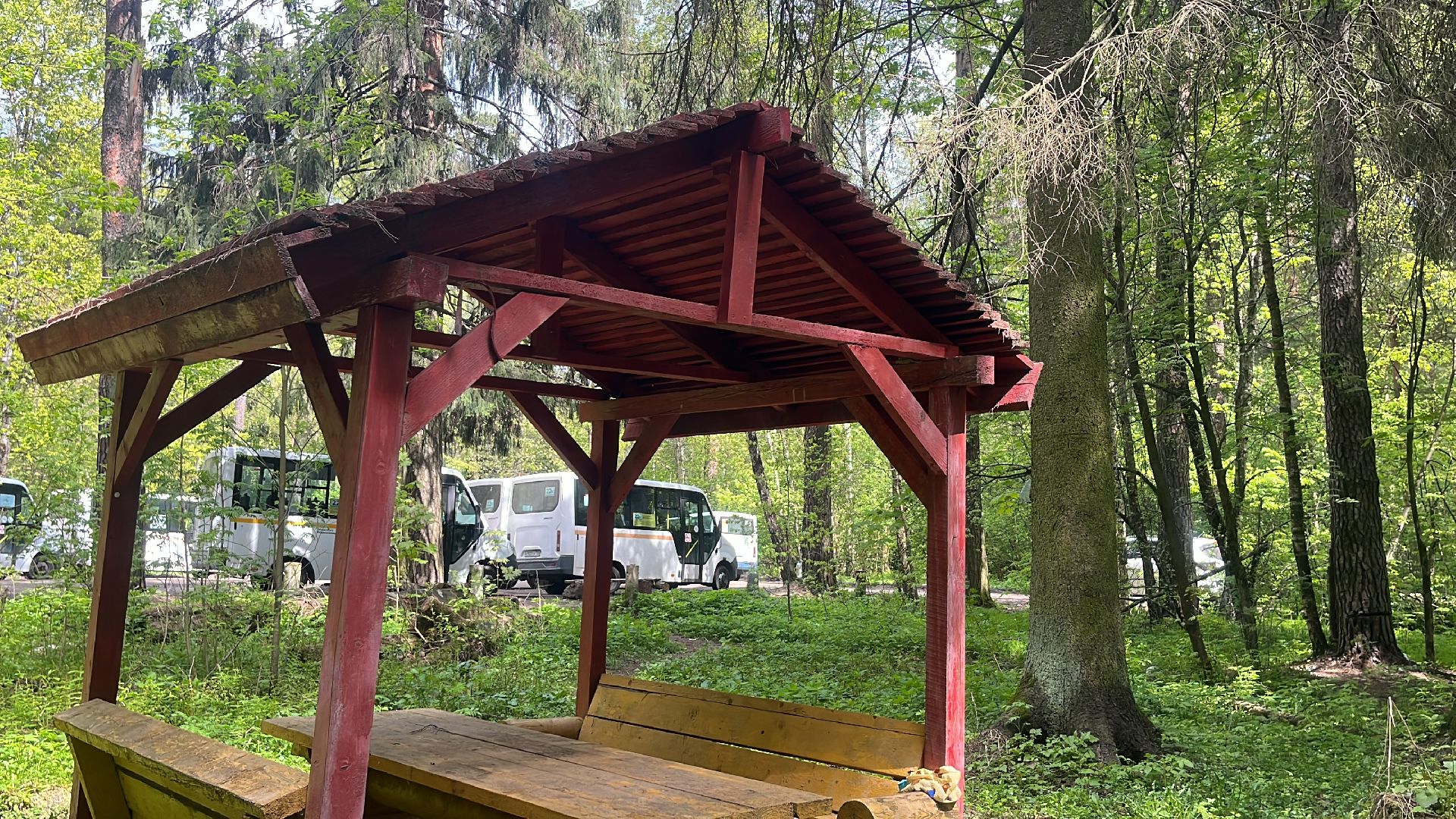 шашлык, шашлыки, лес, шашлык в лесу, мангал,