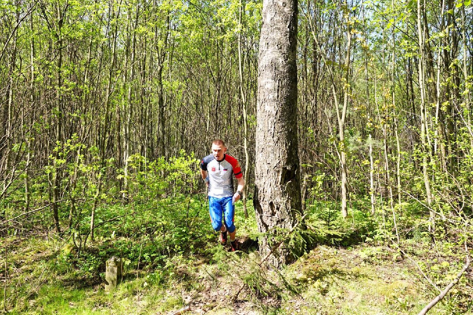 Спорт, Спортивное ориентирование, Соревнования, Турнир, Сергиев Посад,