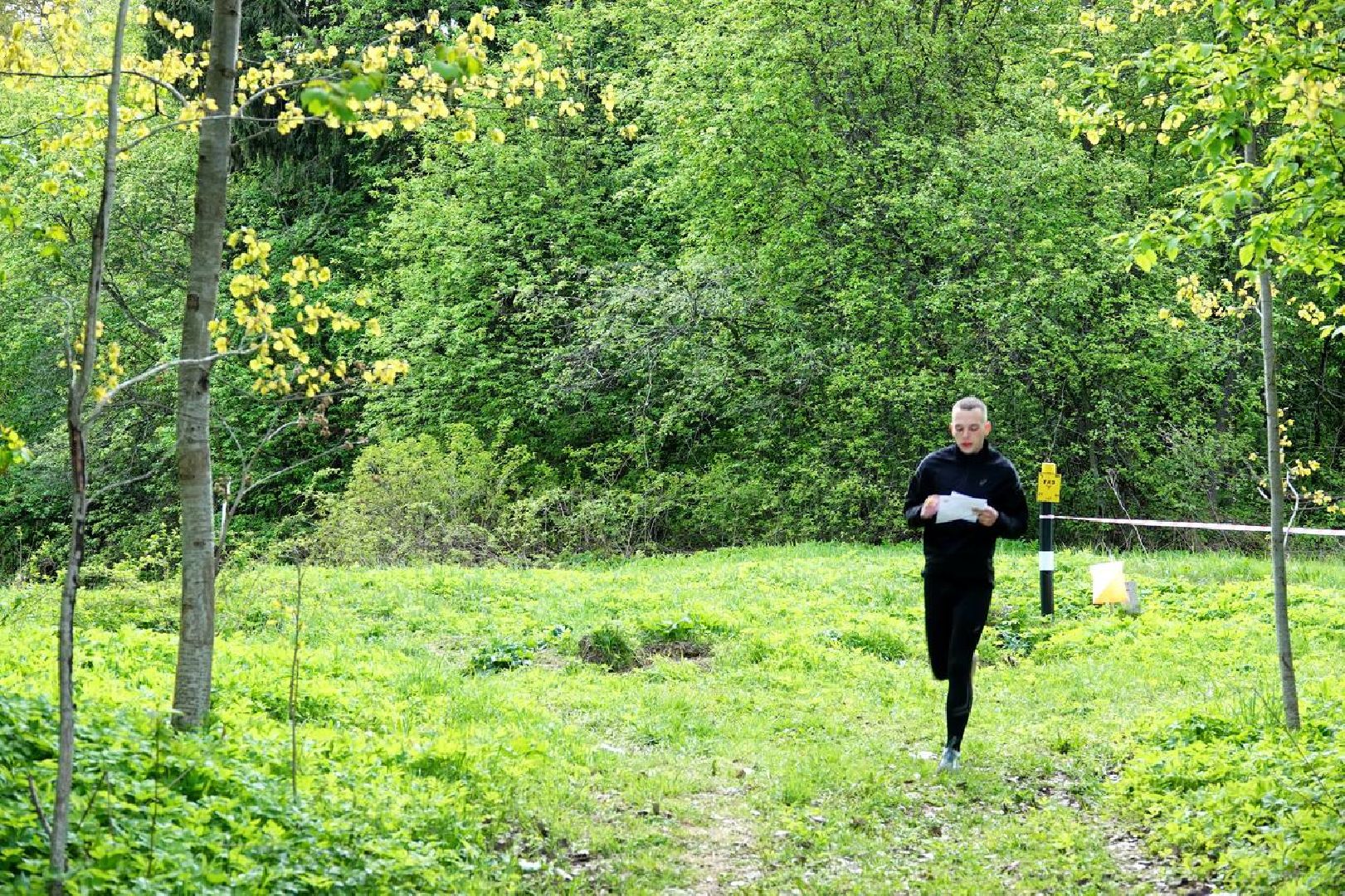 Спорт, Спортивное ориентирование, Соревнования, Турнир, Сергиев Посад,