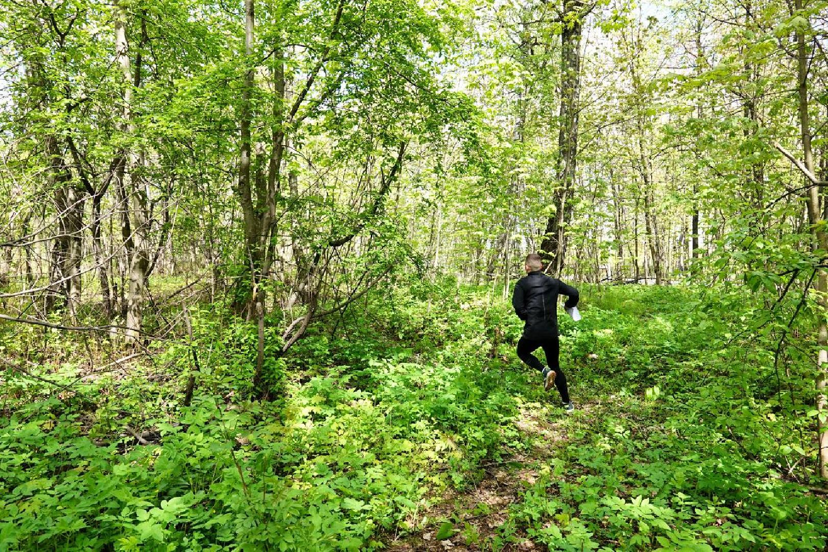 Спорт, Спортивное ориентирование, Соревнования, Турнир, Сергиев Посад,