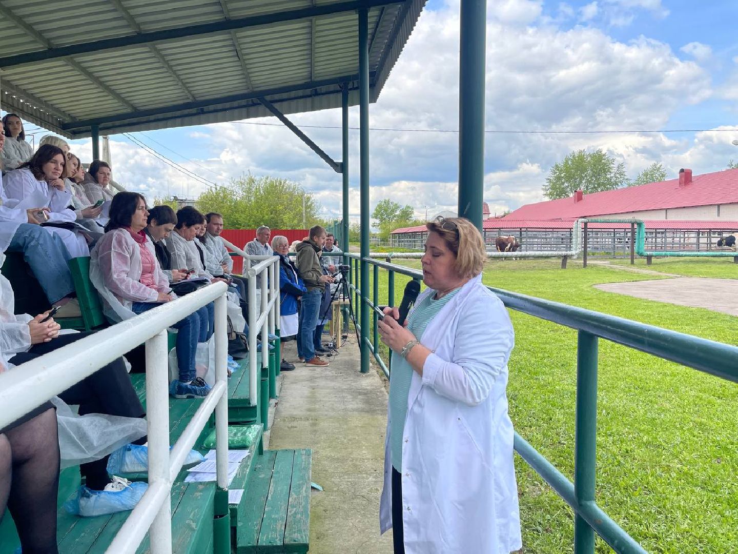 Подольск, Быки производители, Животноводство, Выводка,