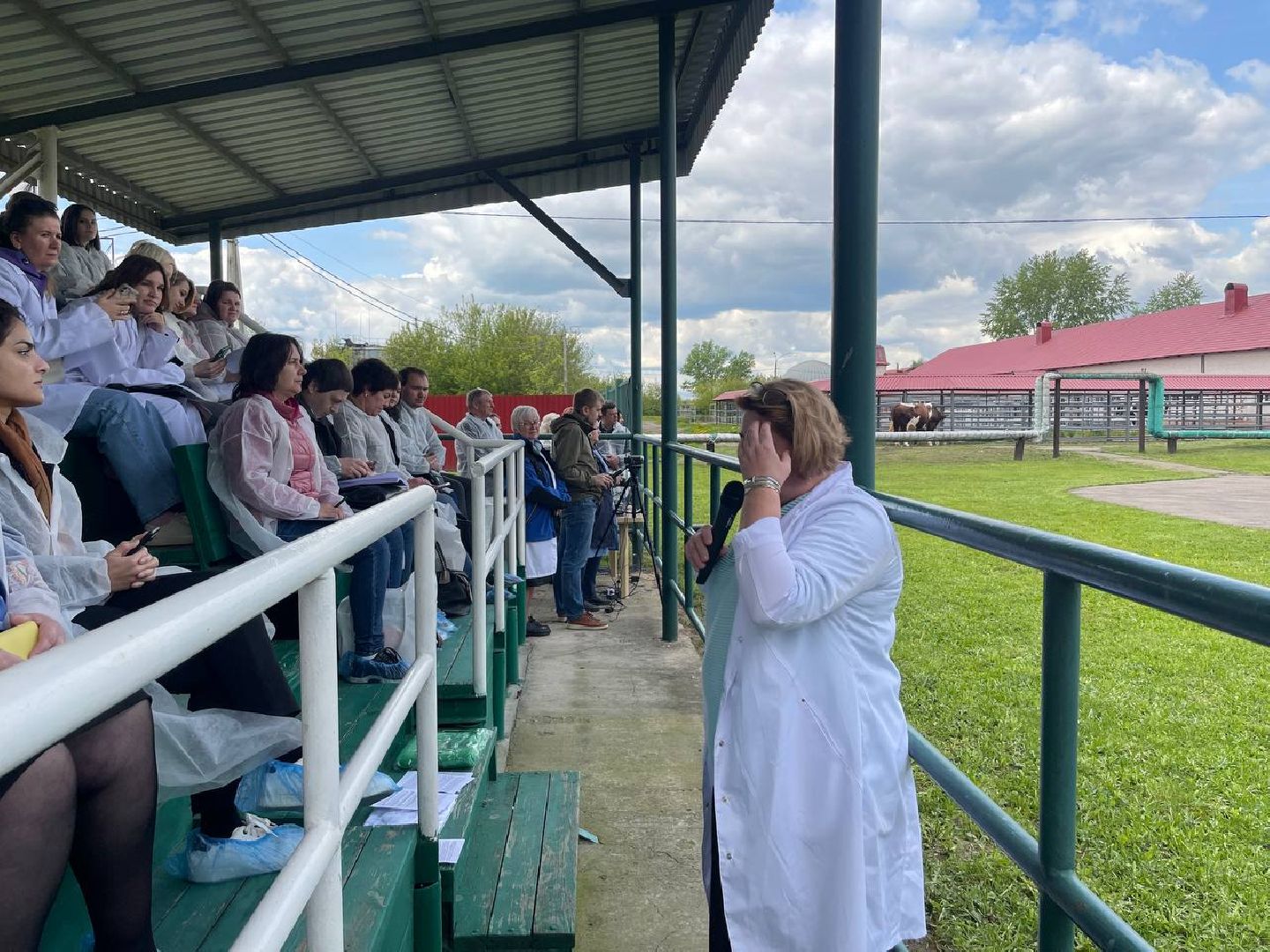 Подольск, Быки производители, Животноводство, Выводка,